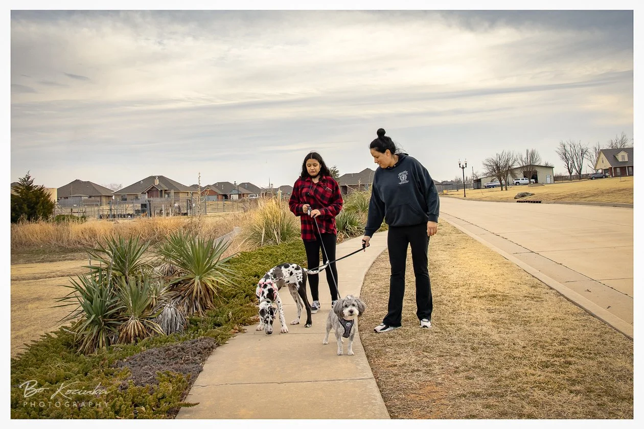 Two women walking on a sidewalk with two small dogs, one Dalmatian and one gray dog, in a suburban neighborhood during overcast weather.