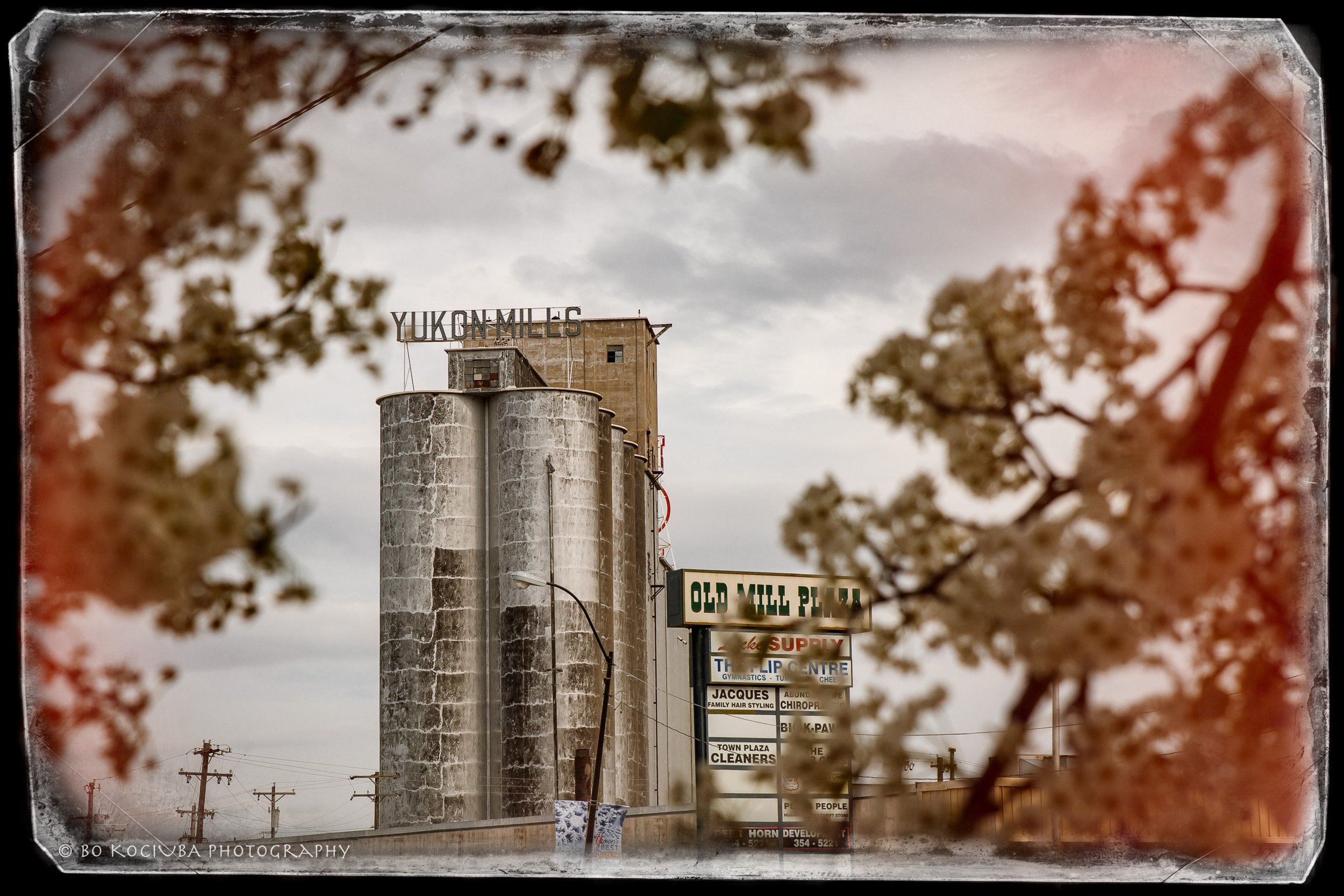 Yukon Mills grain elevators in Yukon, Oklahoma, photographed through autumn-colored tree branches, reflecting the city's agricultural heritage.