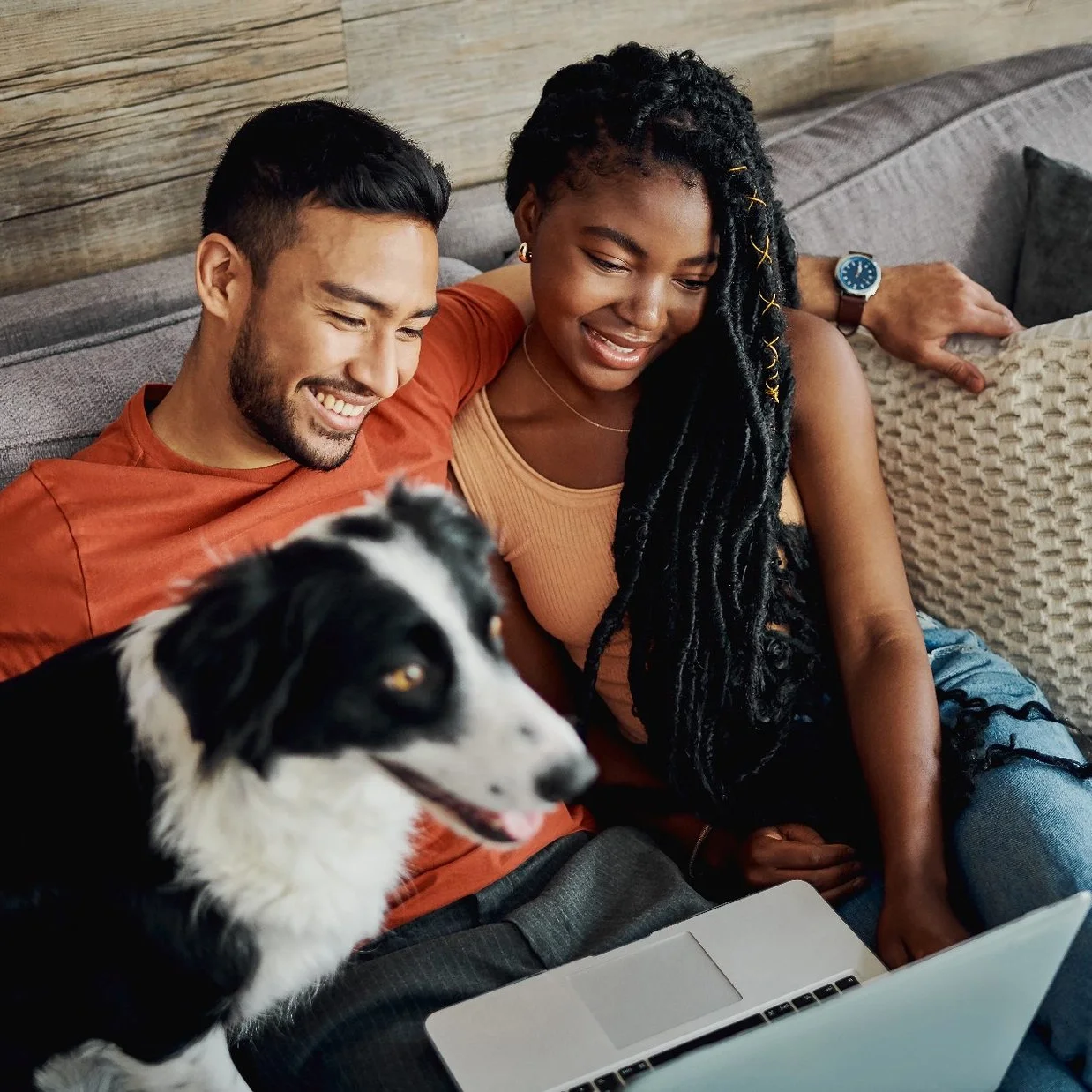 A happy couple and a black and white dog sitting on a gray couch, looking at a laptop together. The man is wearing an orange shirt, and the woman has long dreadlocks and is wearing a beige top and ripped jeans. They are smiling and appear to be enjoying themselves.