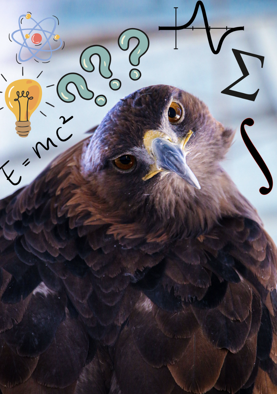 Close-up of a bird of prey with annotations of scientific and mathematical symbols and a lightbulb sketch, indicating thinking or ideas.