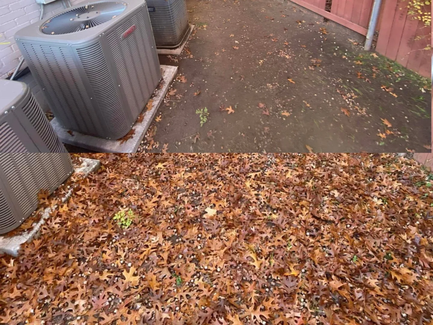 A side-by-side comparison of a backyard: the top half shows a dirt patch with a few fallen leaves and some small plants; the bottom half shows the same area covered with a thick layer of brown and orange fallen leaves.