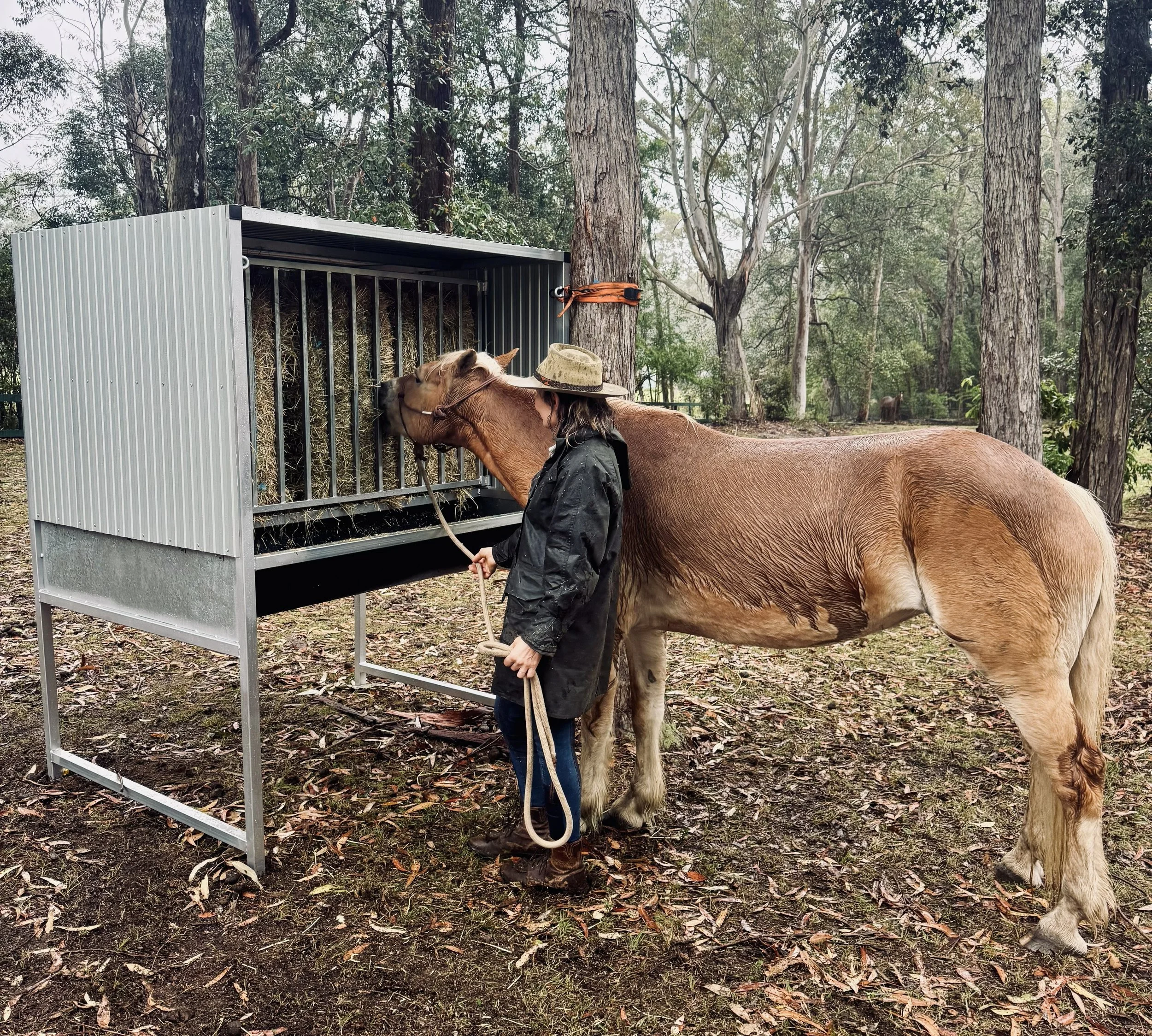 Equi-Strong Elevated Horse Feeder