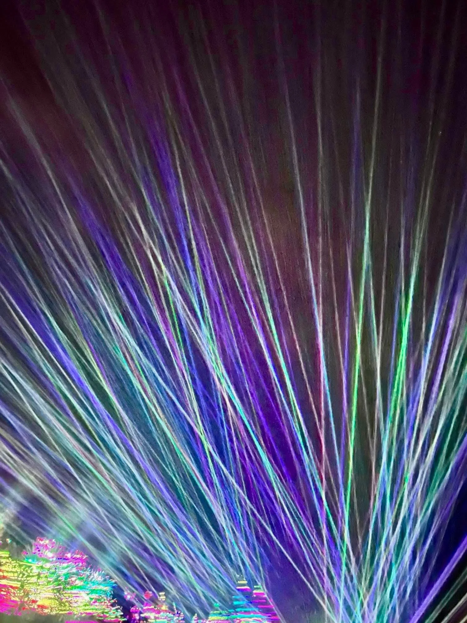 488260327_10162251467074929_6347091883555616773_n.jpg
