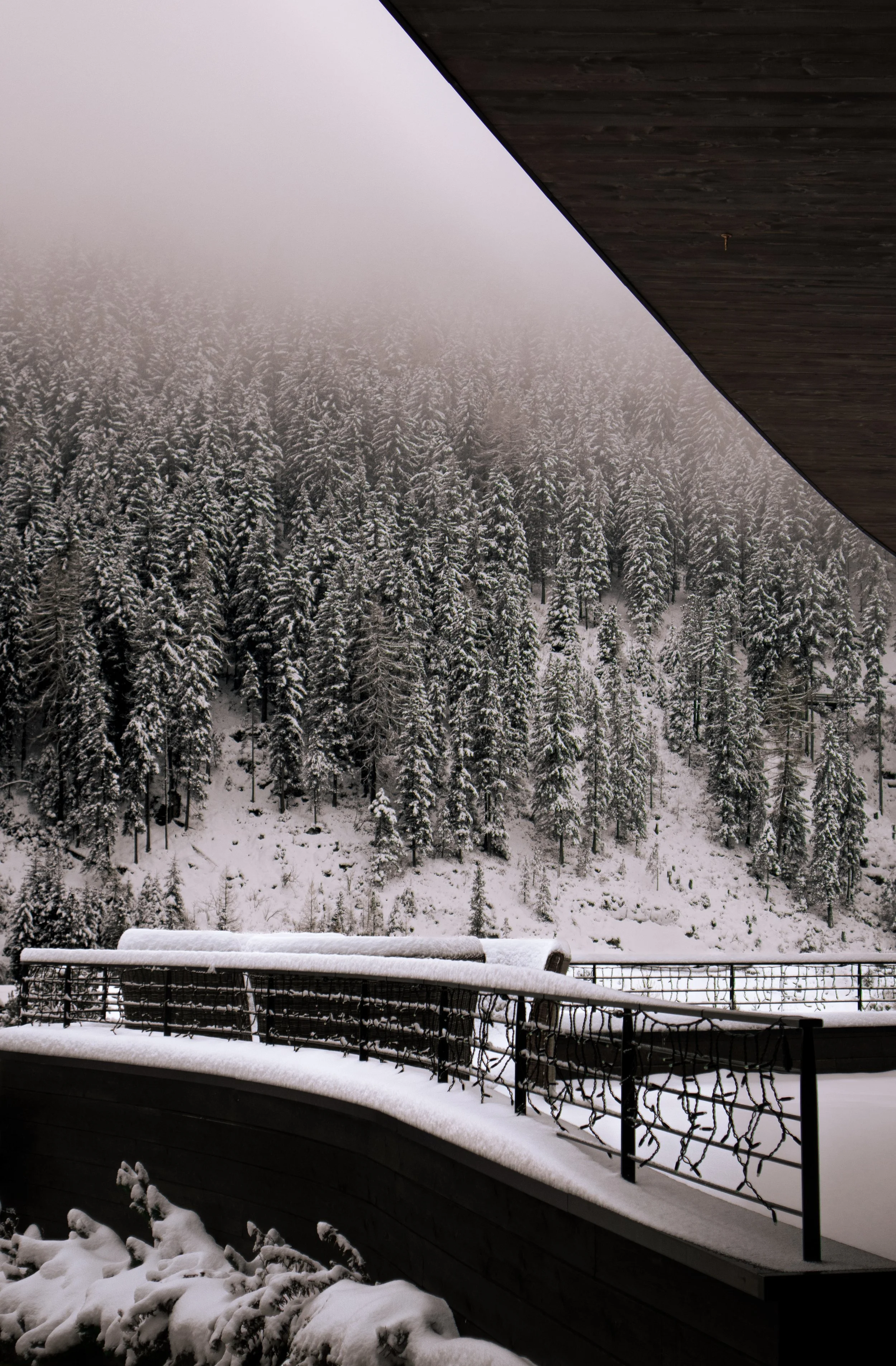 Snow-covered balcony railing with a view of a snowy forest and foggy sky in the background.