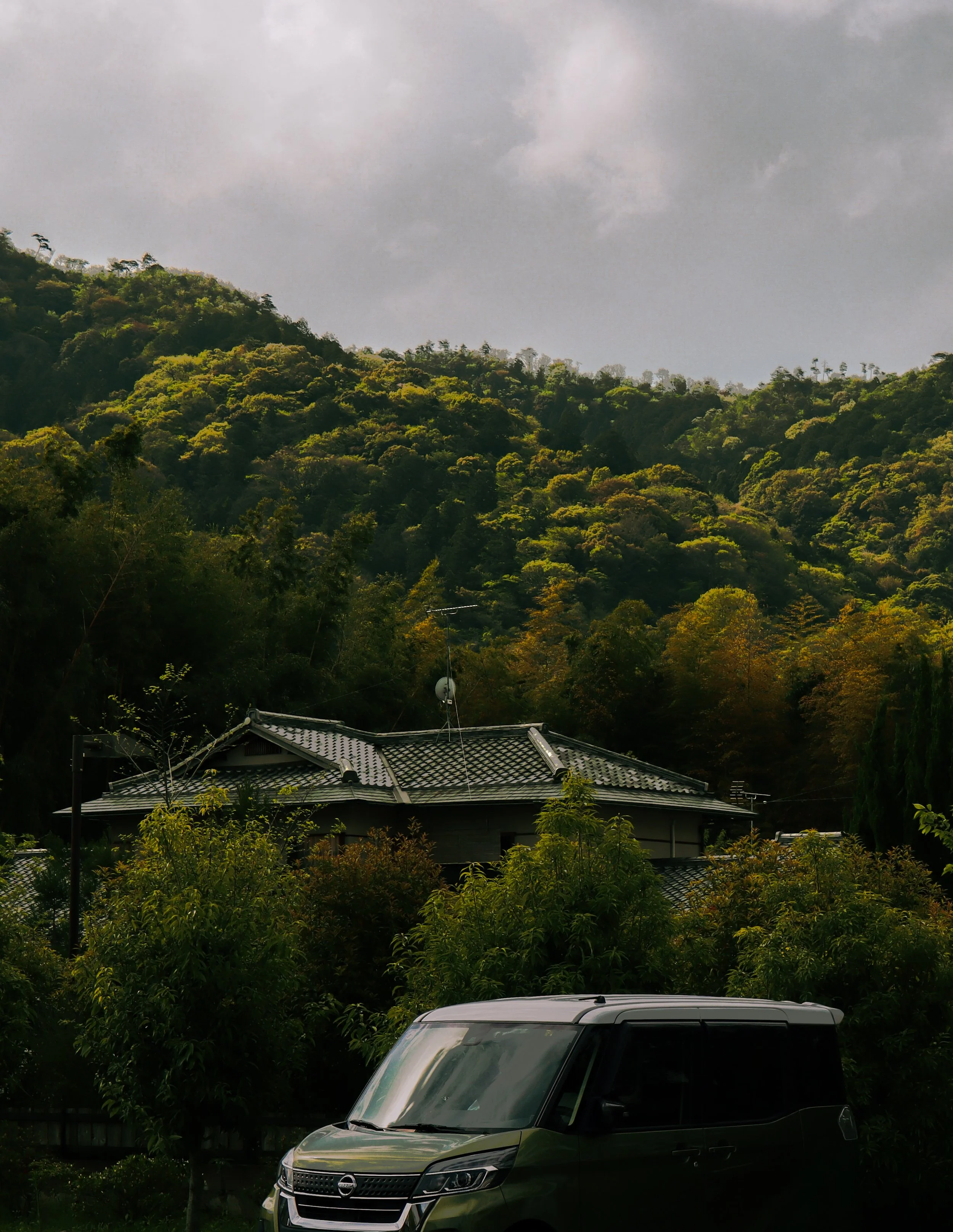 Green SUV parked in front of a lush, green hillside with small trees and shrubs, under a cloudy sky.