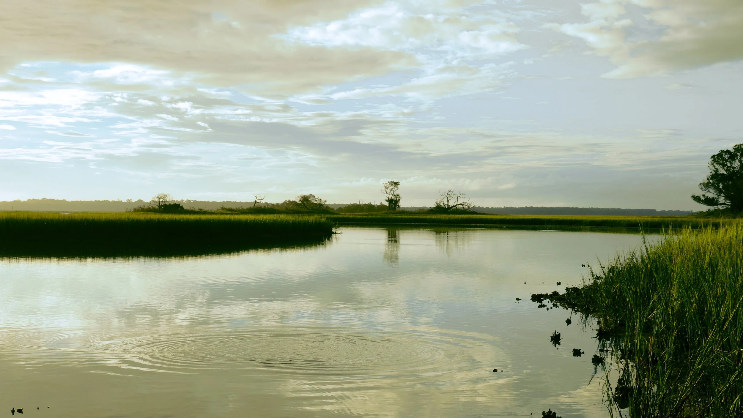 A serene landscape with a calm river, green grass along the riverbank, and a few trees under a cloudy sky.