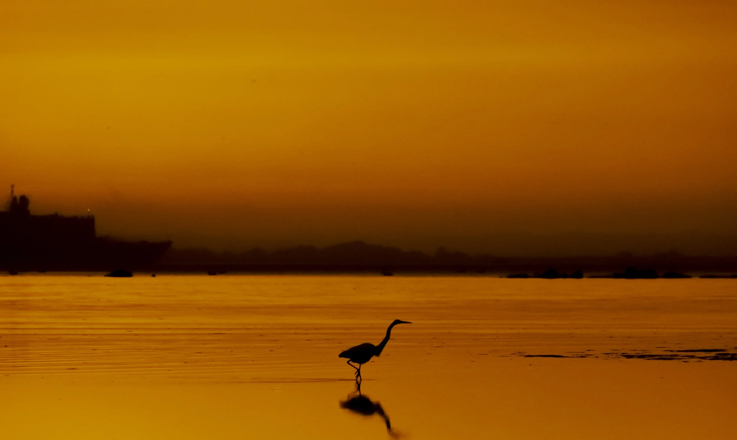 A sunset over a body of water with a silhouette of a flamingo standing in the shallow water and distant landforms in the background.