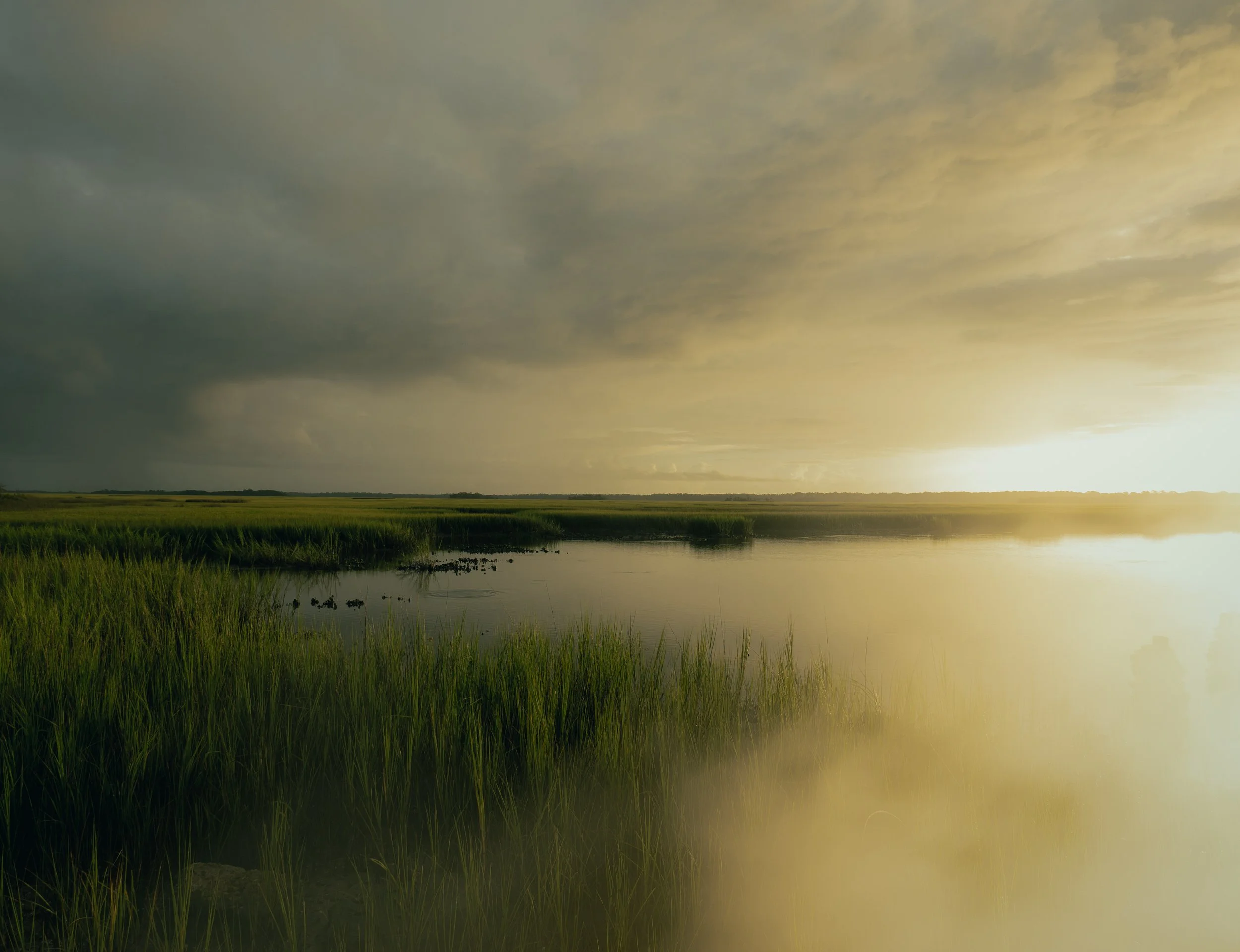 A landscape view of a grassy wetland with water, low vegetation, and a cloudy sky during sunset.