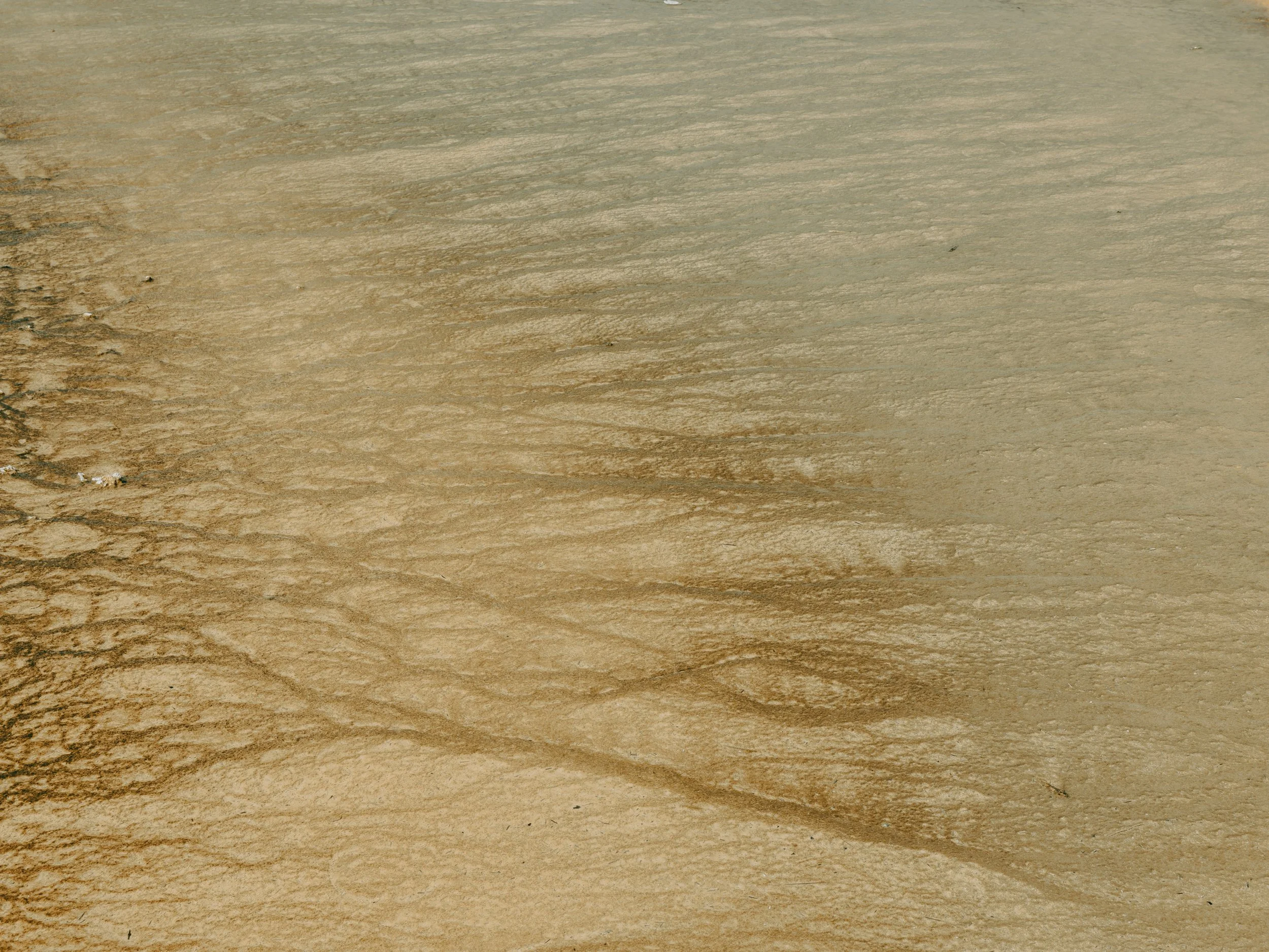 Close-up of a textured wooden surface with light brown and beige tones.