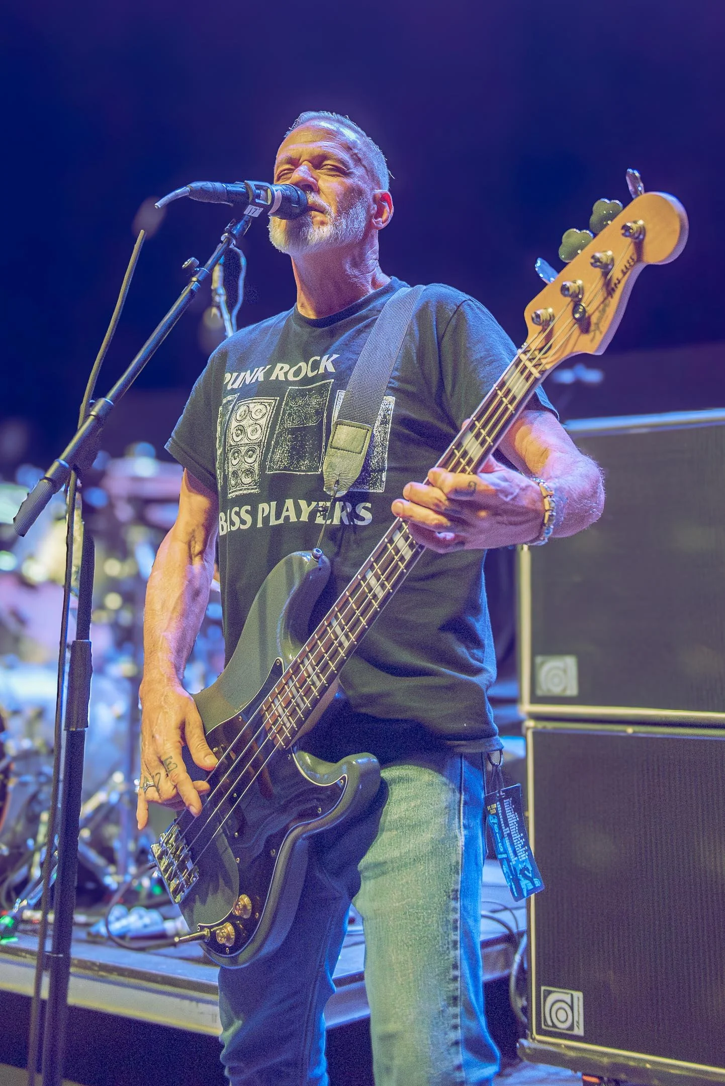 Descendents-03.jpg