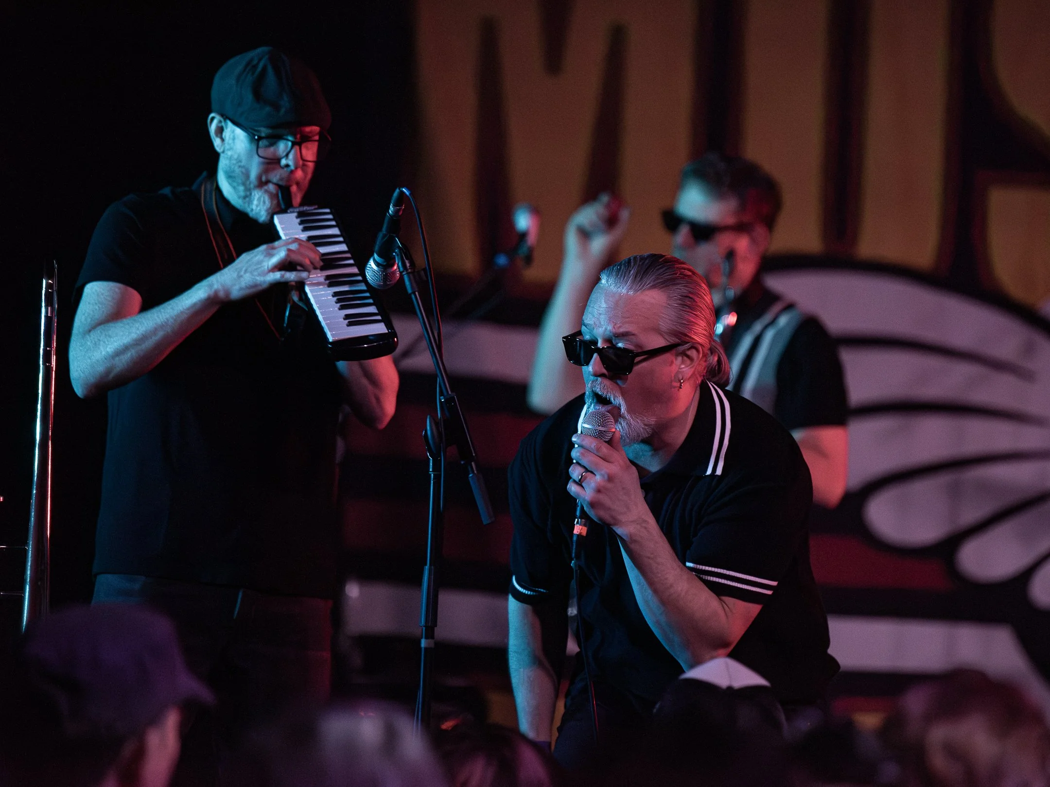 mustard_plug_horn_section.jpg
