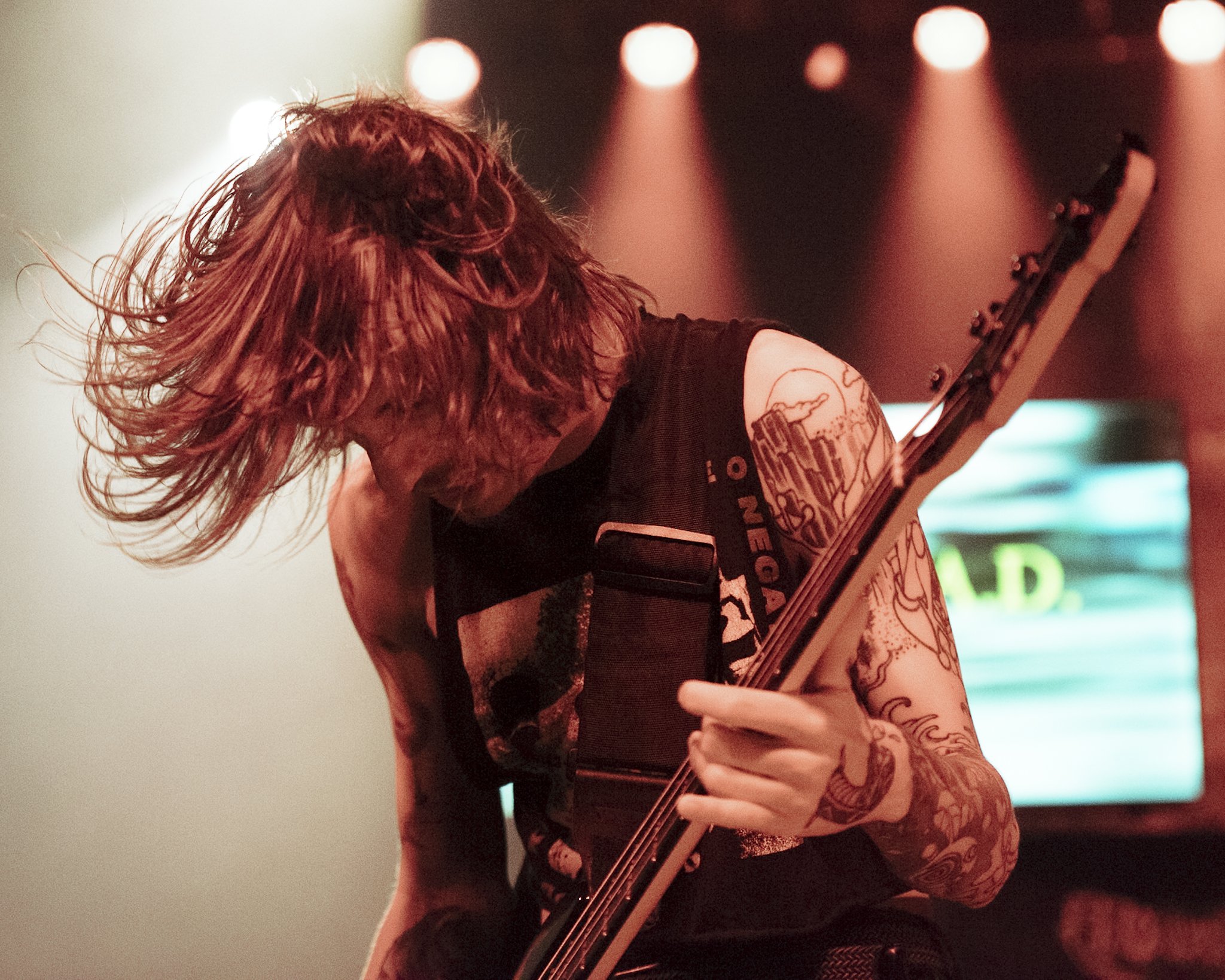 cavalera_conspiracy_igor_amadeus_1.jpg