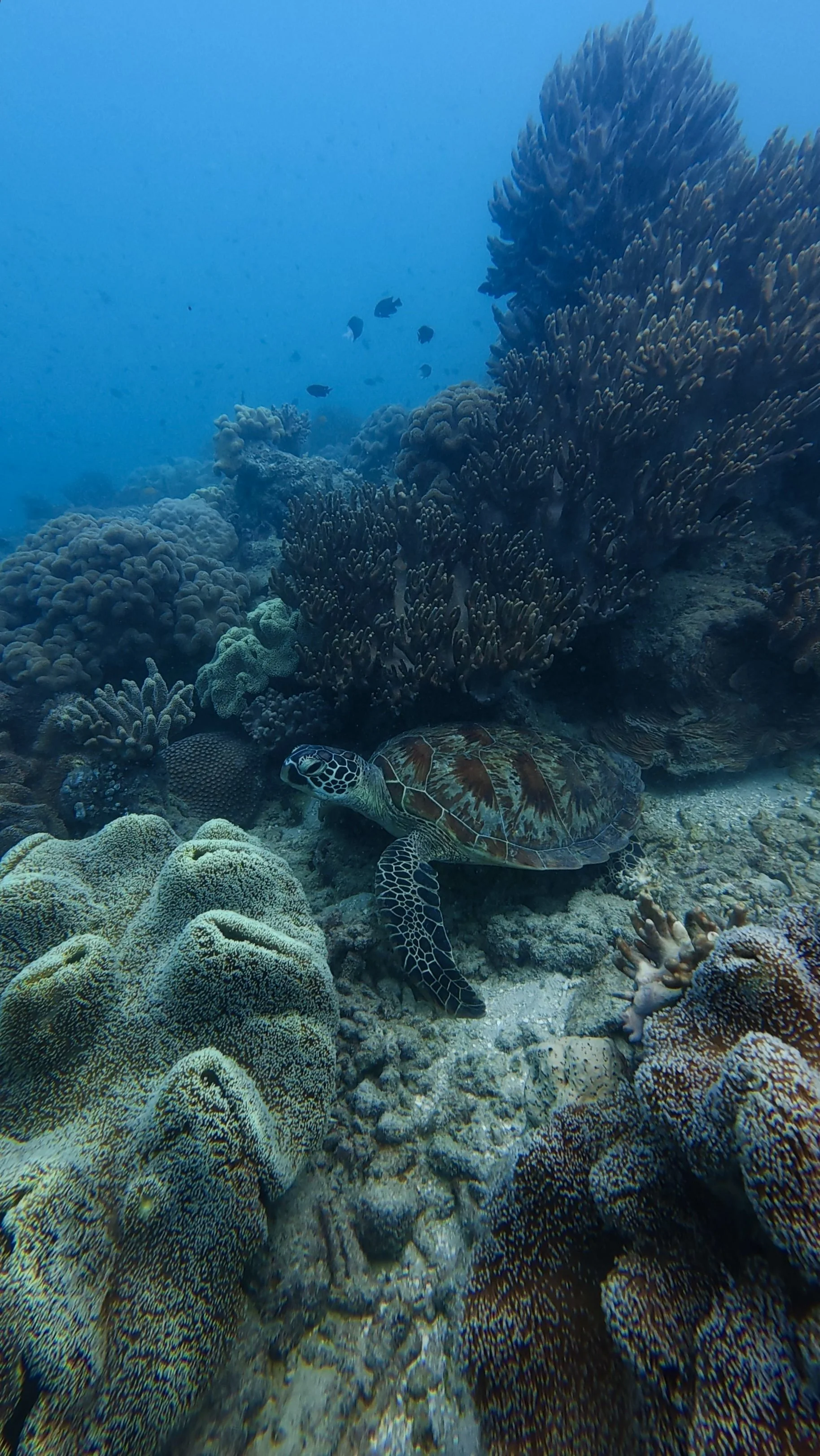 dji_mimo_20260501_104610_20260501104610_1777621339210_photo.jpeg