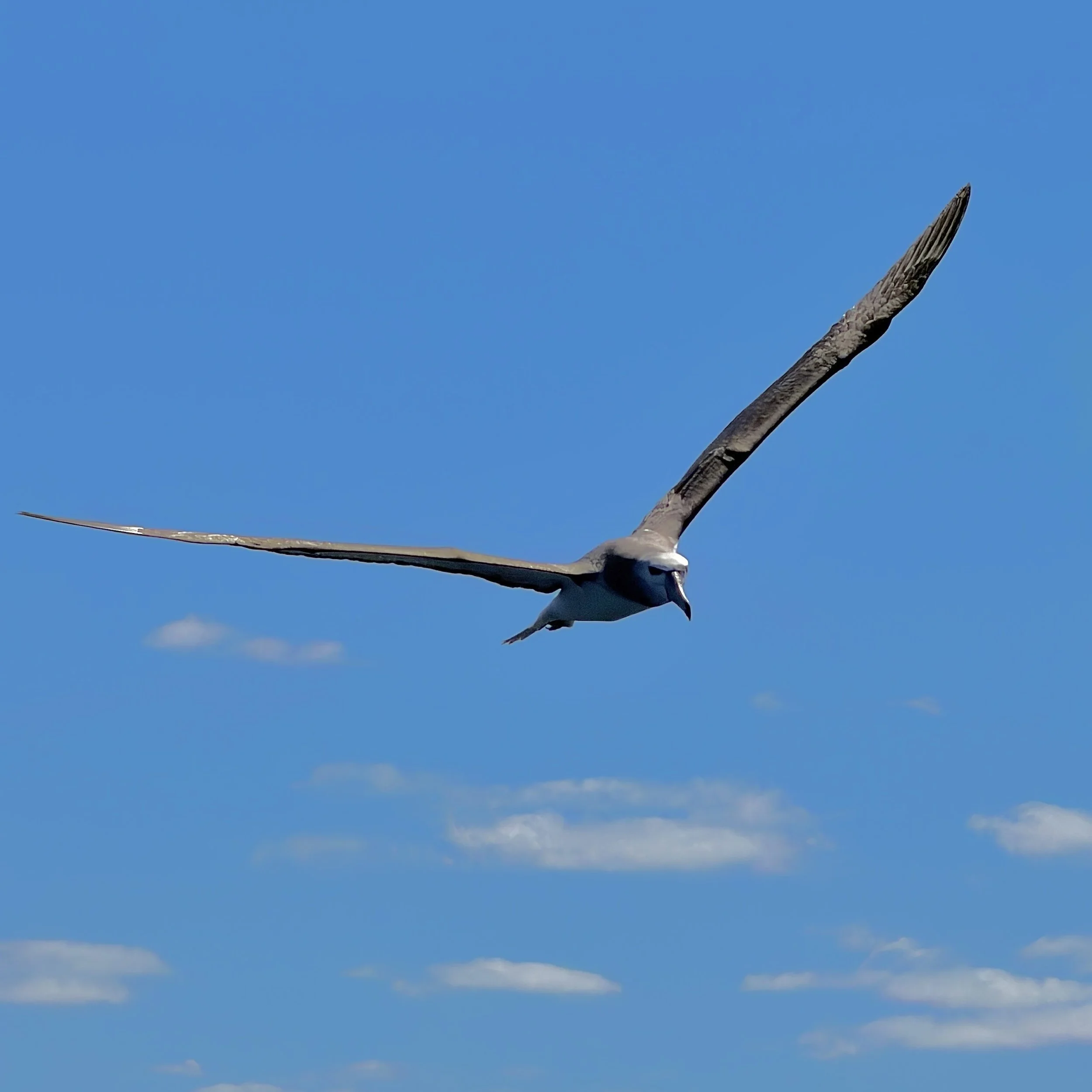 IMG_8245.jpeg