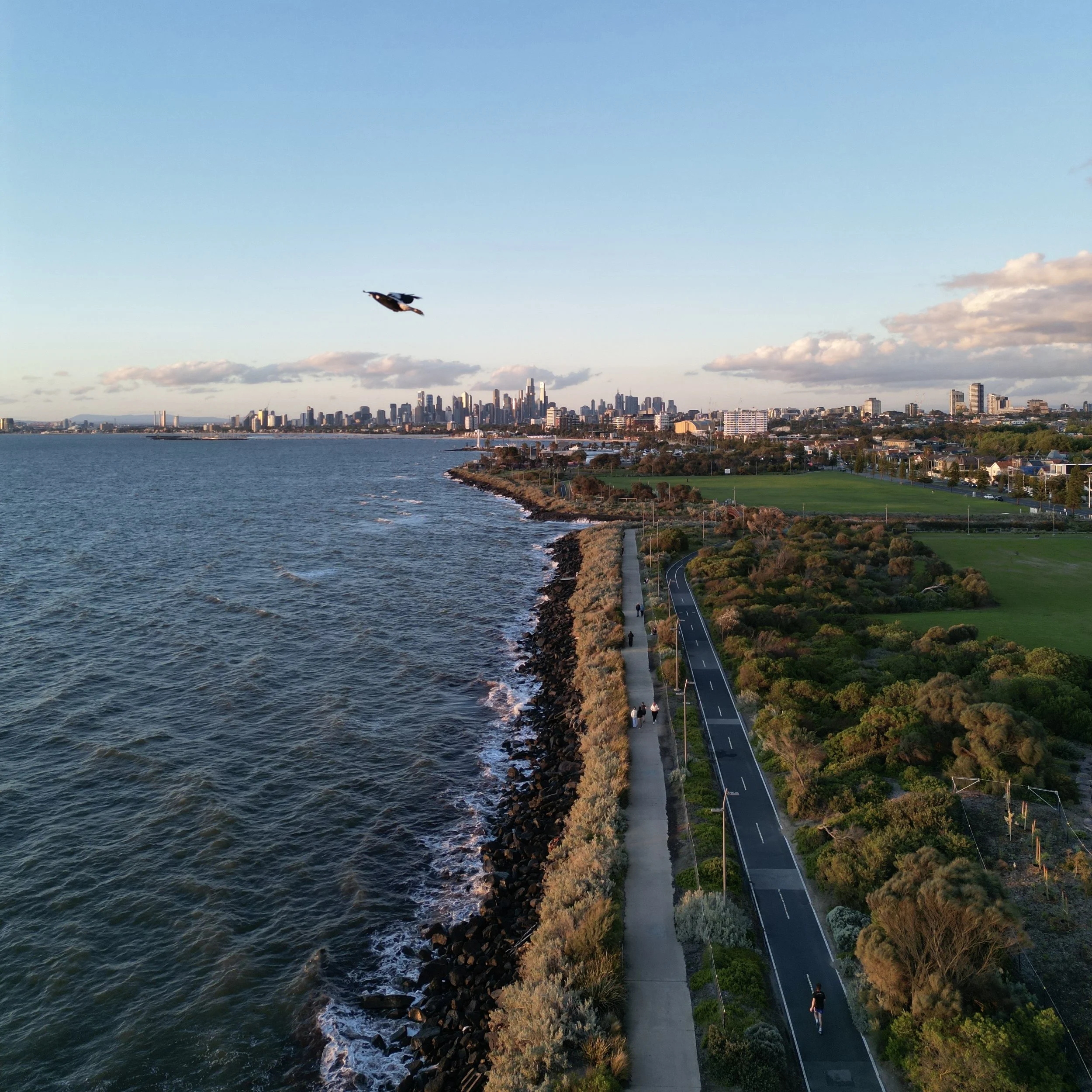 dji_fly_20251110_203244_398_1762857445311_photo.jpeg