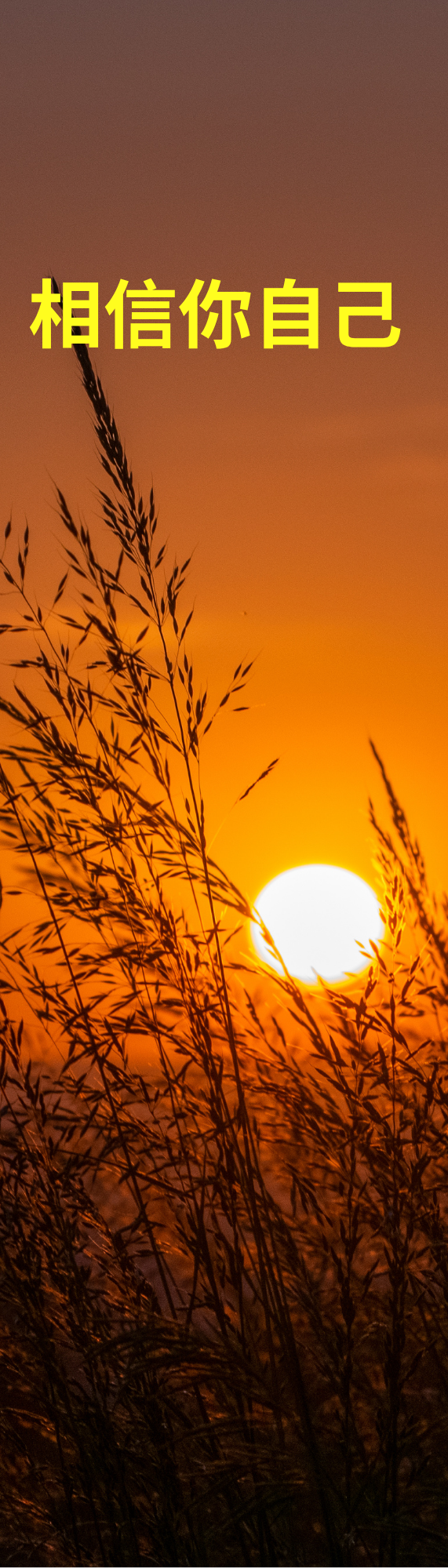 Sun phone wallpaper (2 x 7 in).png