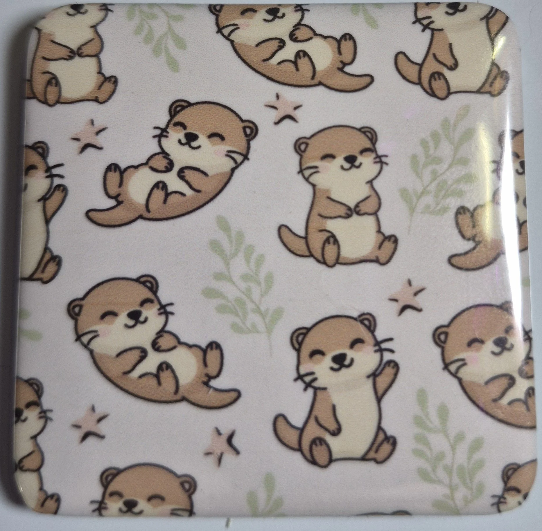 OTTER.jpg