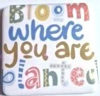 Magnets - 2