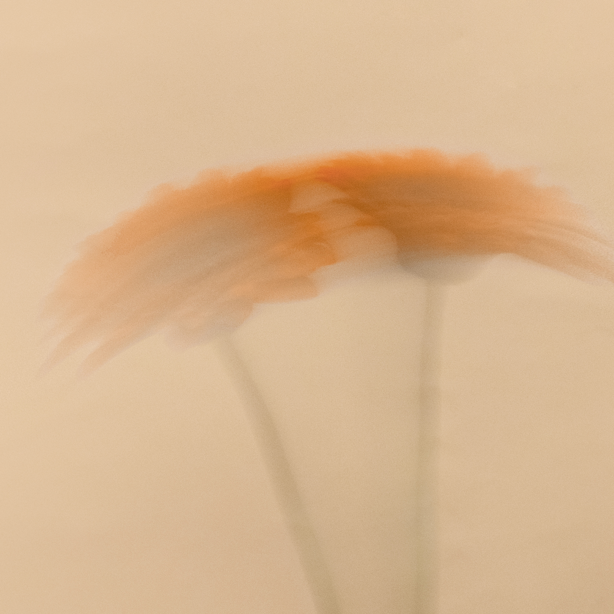 red motion blur flower