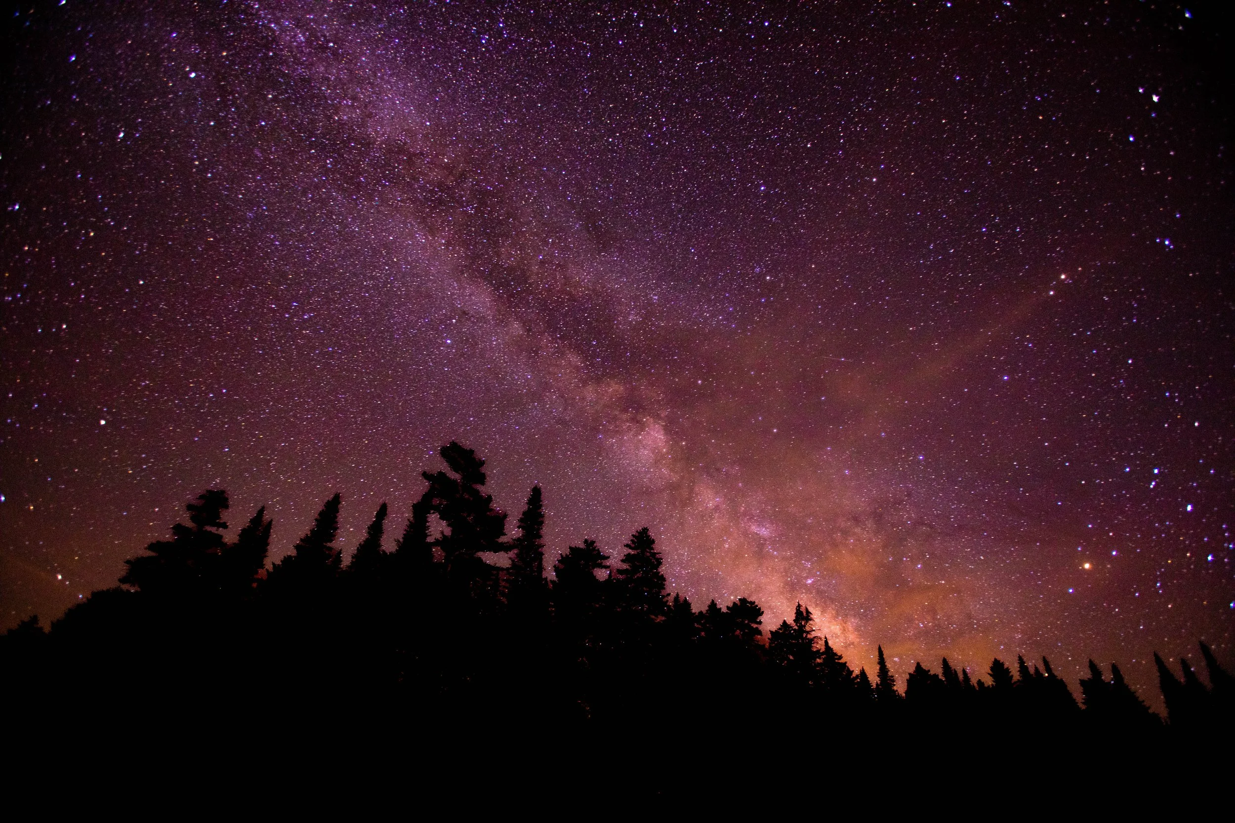 Night sky filled with stars and the Milky Way galaxy, with silhouettes of trees in the foreground.