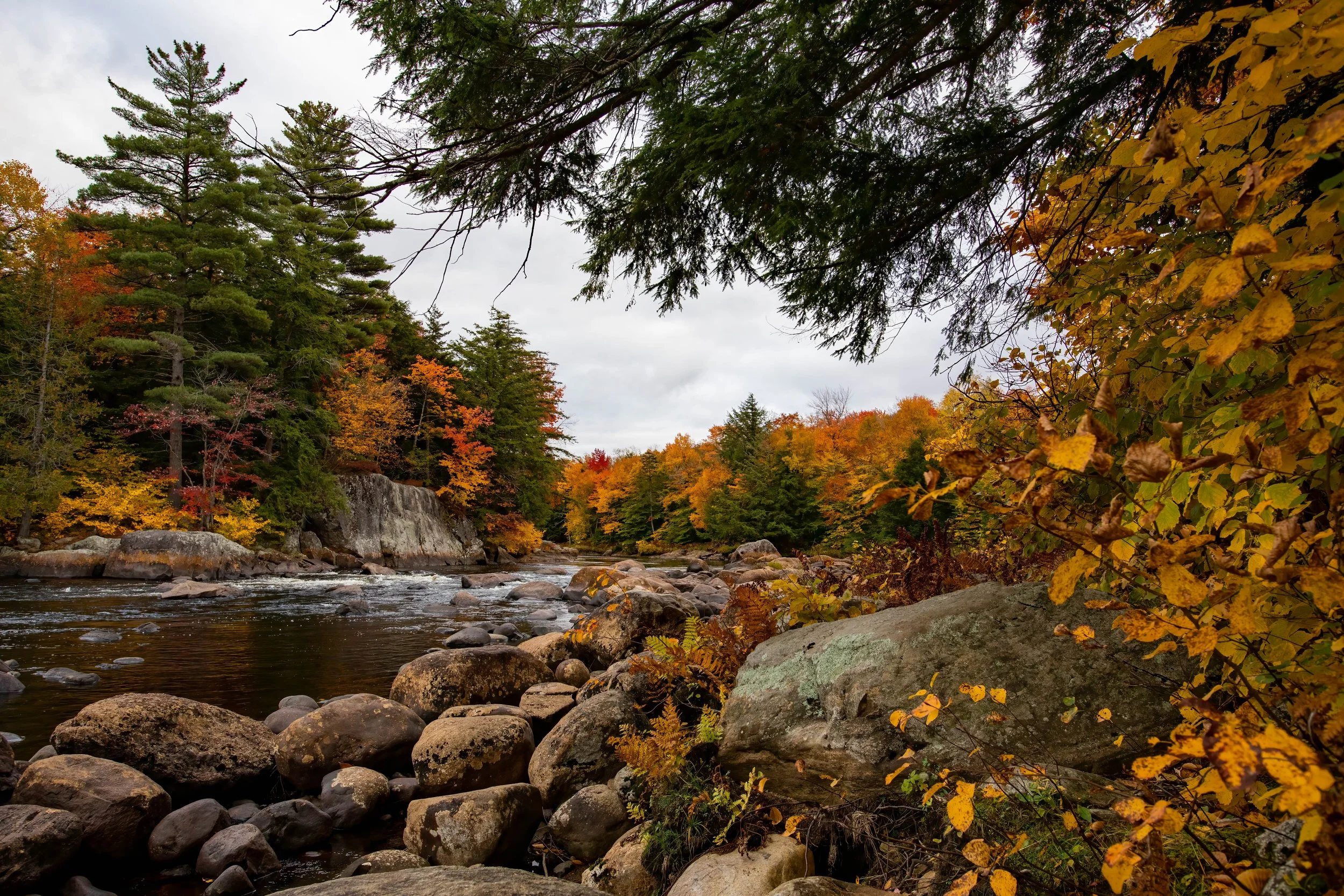 A river flowing over rocks surrounded by autumn trees with colorful leaves in fall, under a cloudy sky.