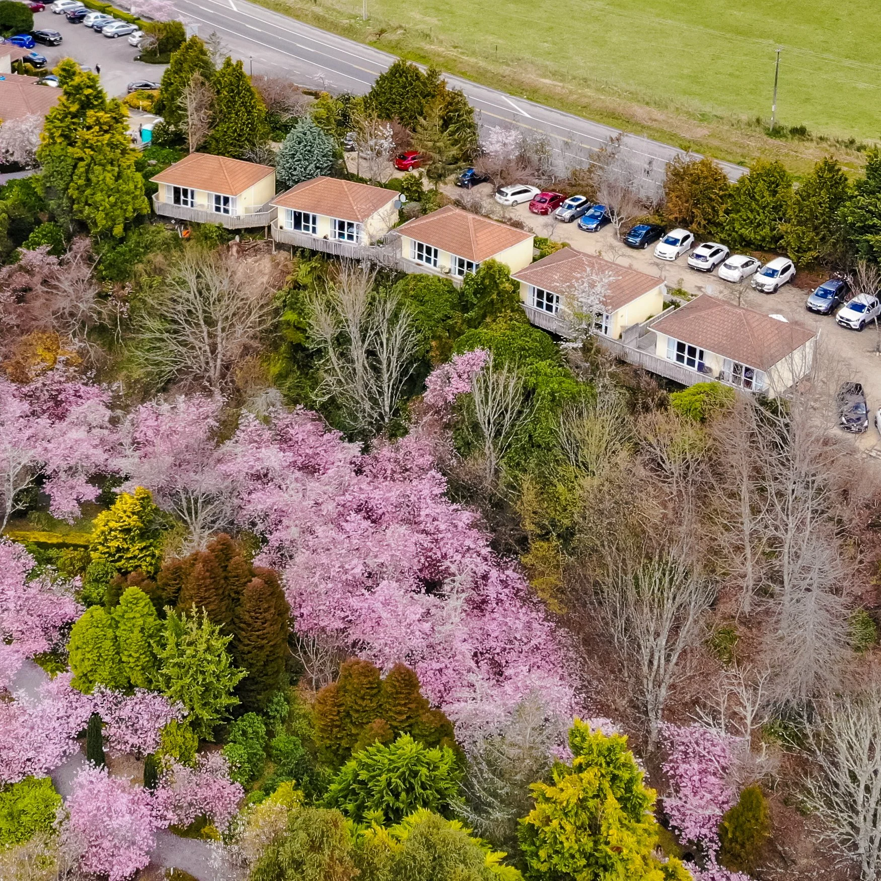 DJI_0088-2.jpg