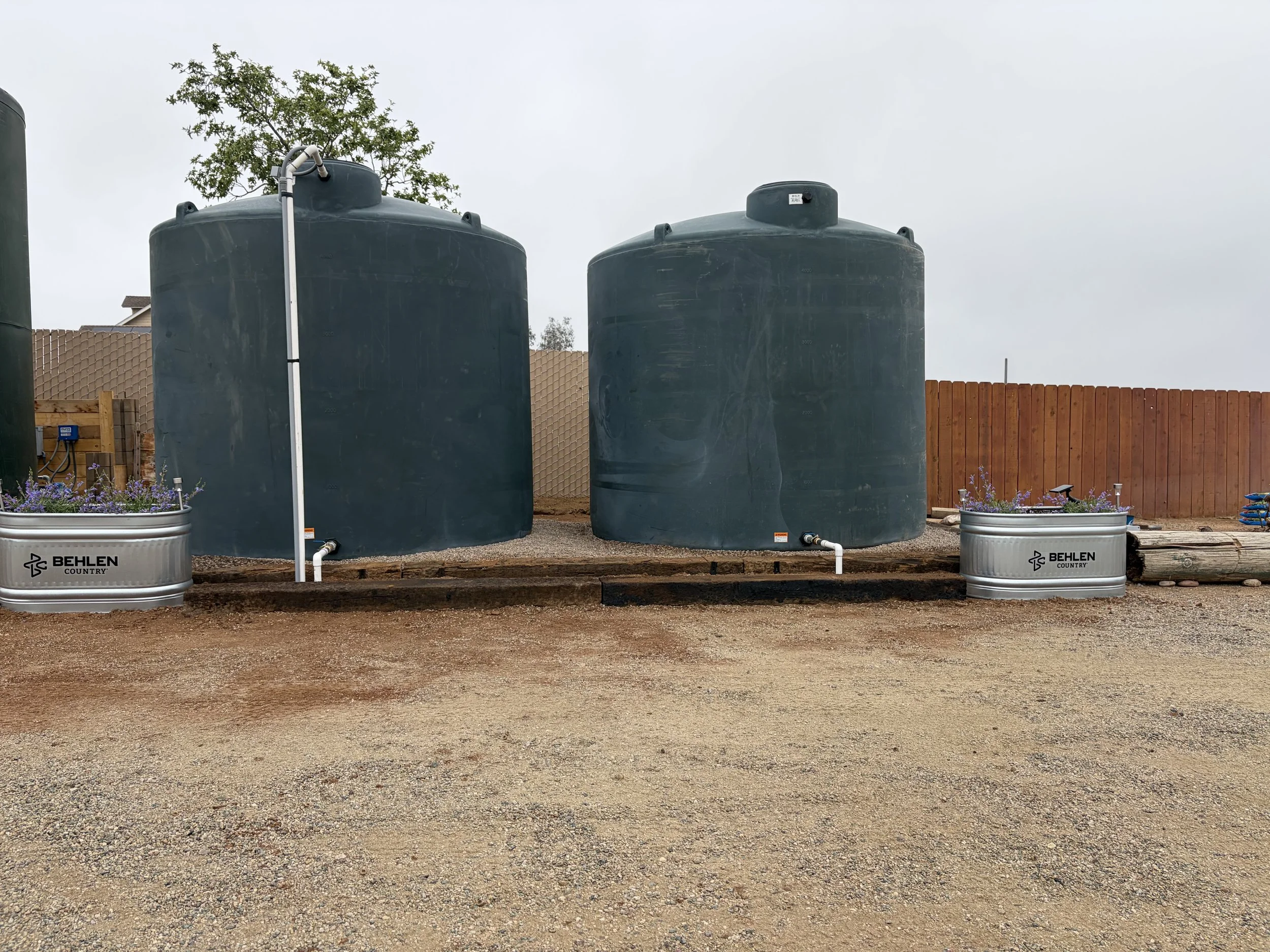 Two large black water storage tanks installed on a gravel lot with a wooden fence in the background, along with two metal planters filled with purple flowers.