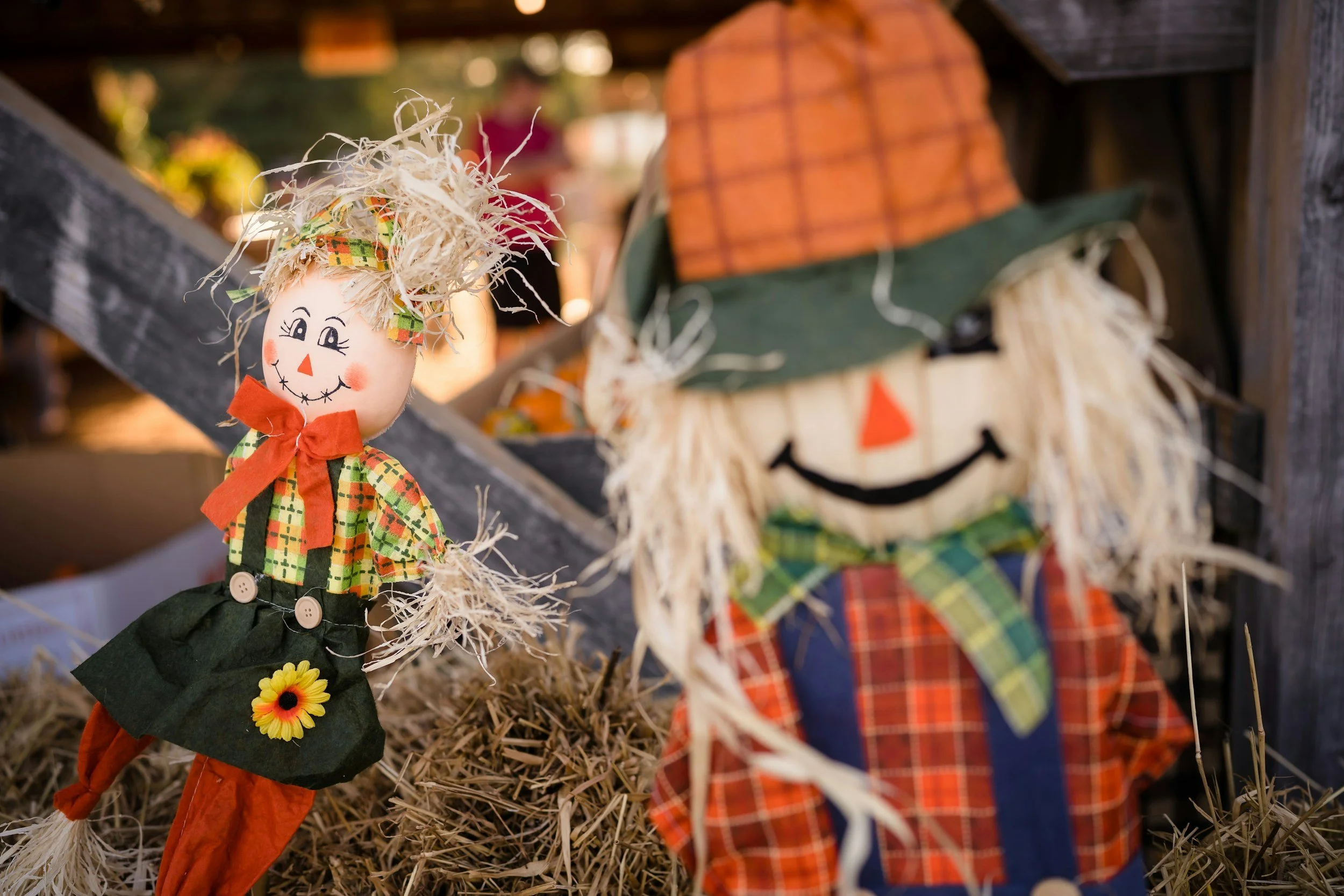Scarecrow Fest & Crystal River Nights Concert