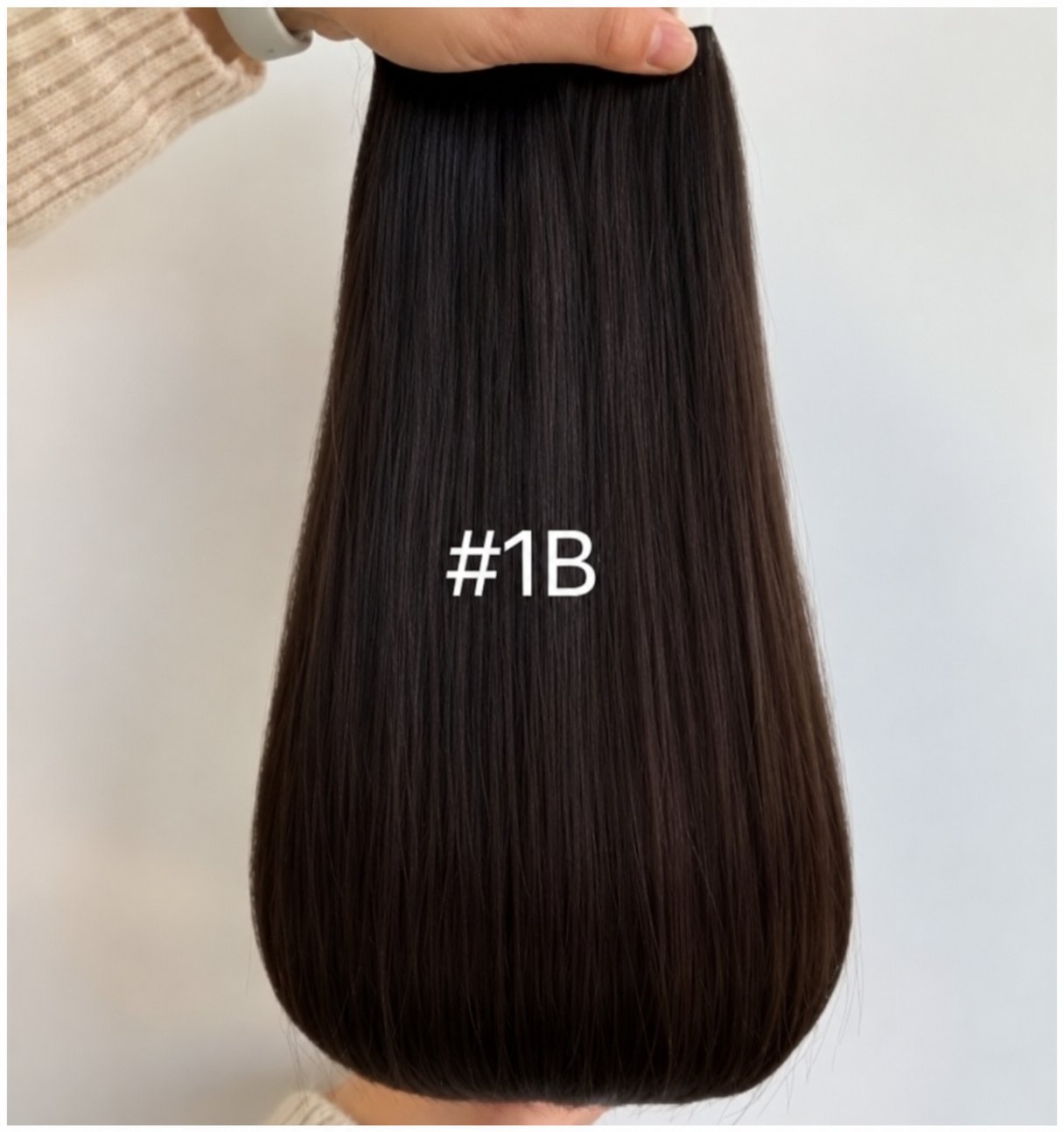 #1B