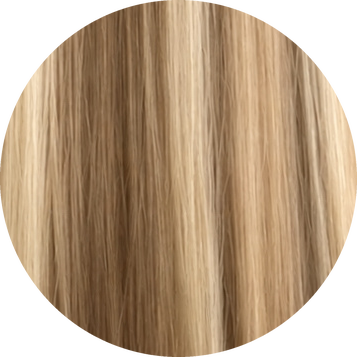 Hair extension shade T9-P9/22/60