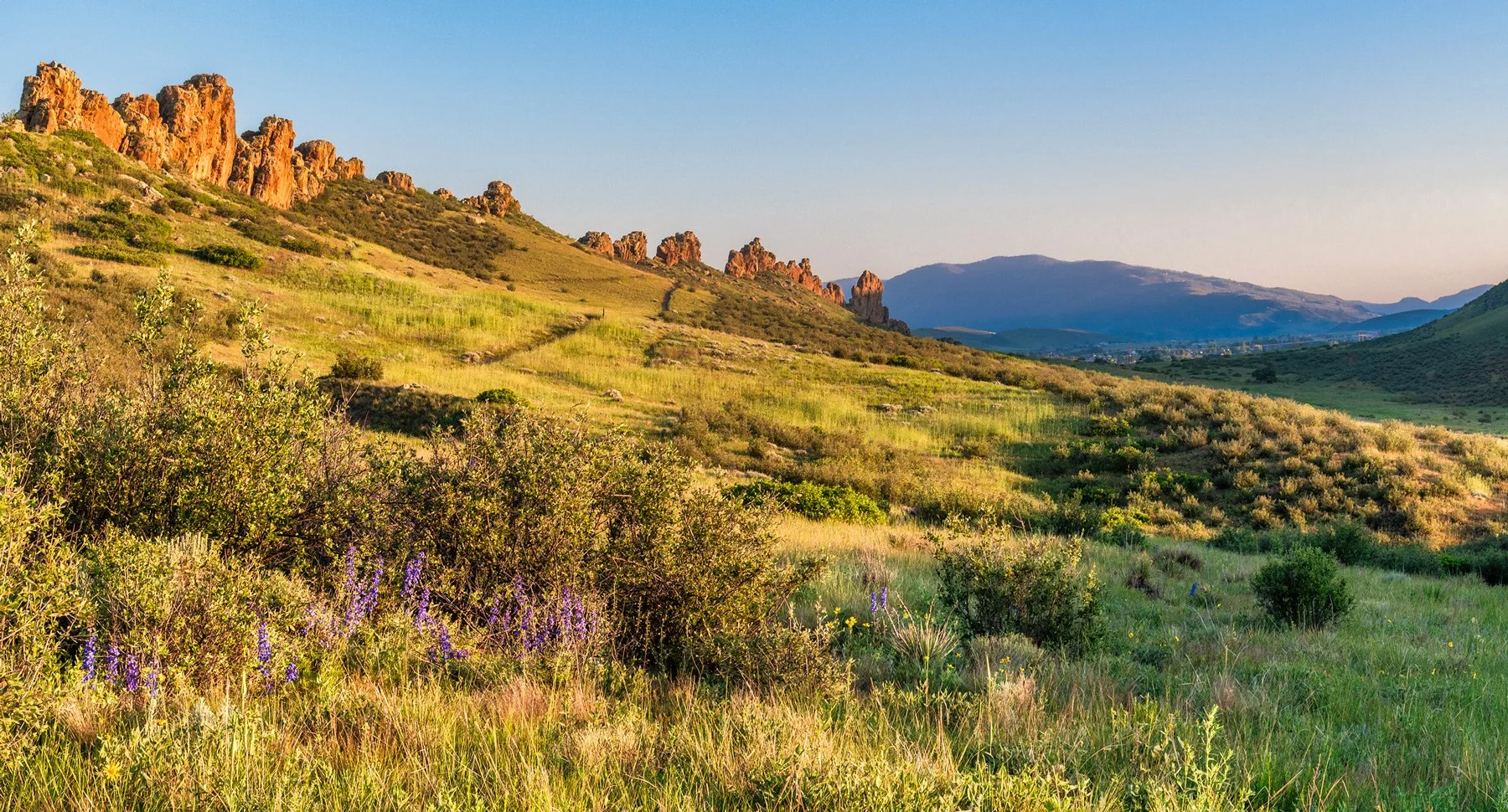 Sunlit grassy hillside with shrubs, purple wildflowers, and rocky formations on the left, leading to distant mountains under a blue sky.