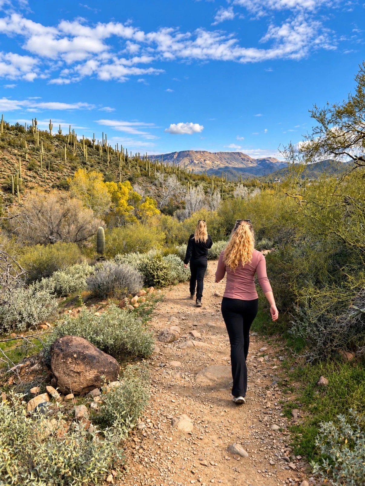How Rocks, Talks &amp; Walks Changed my Life