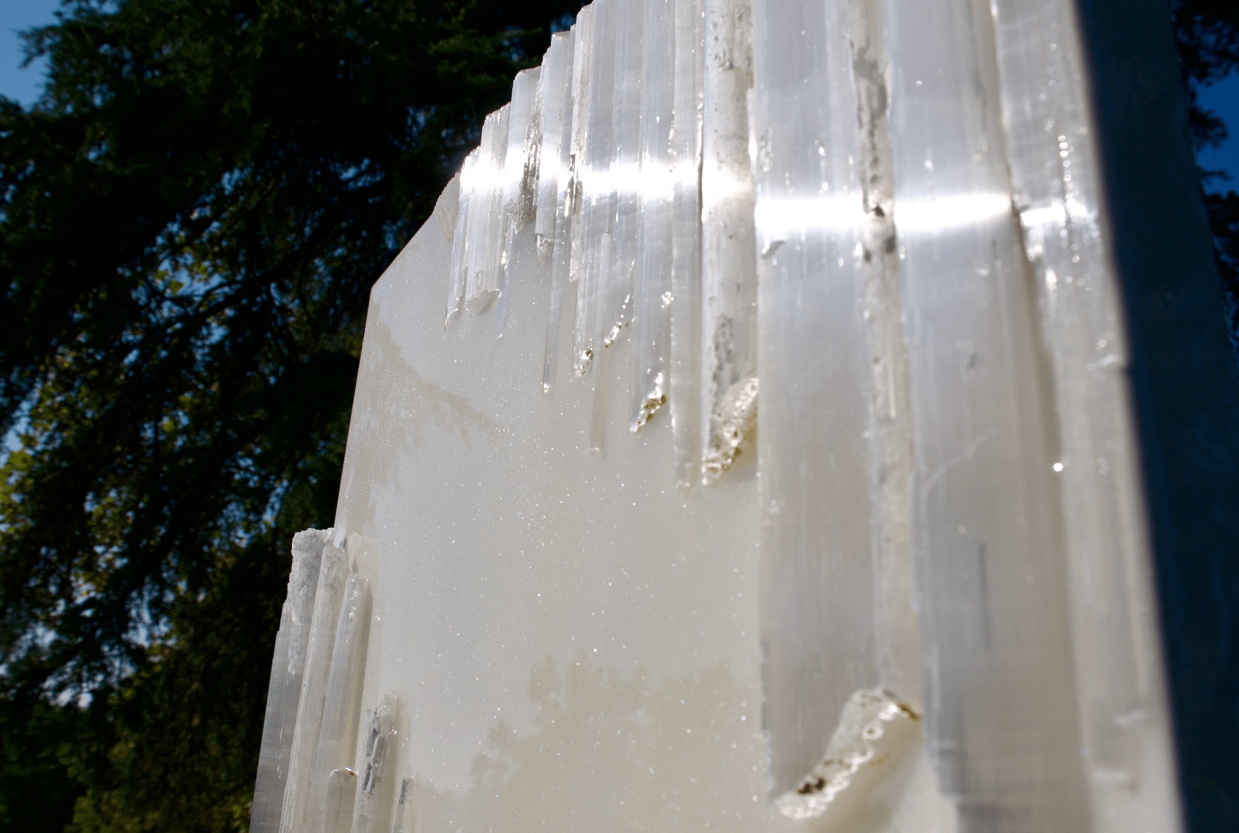 Close-up of icy, translucent snow or ice layers outdoors with trees in the background.