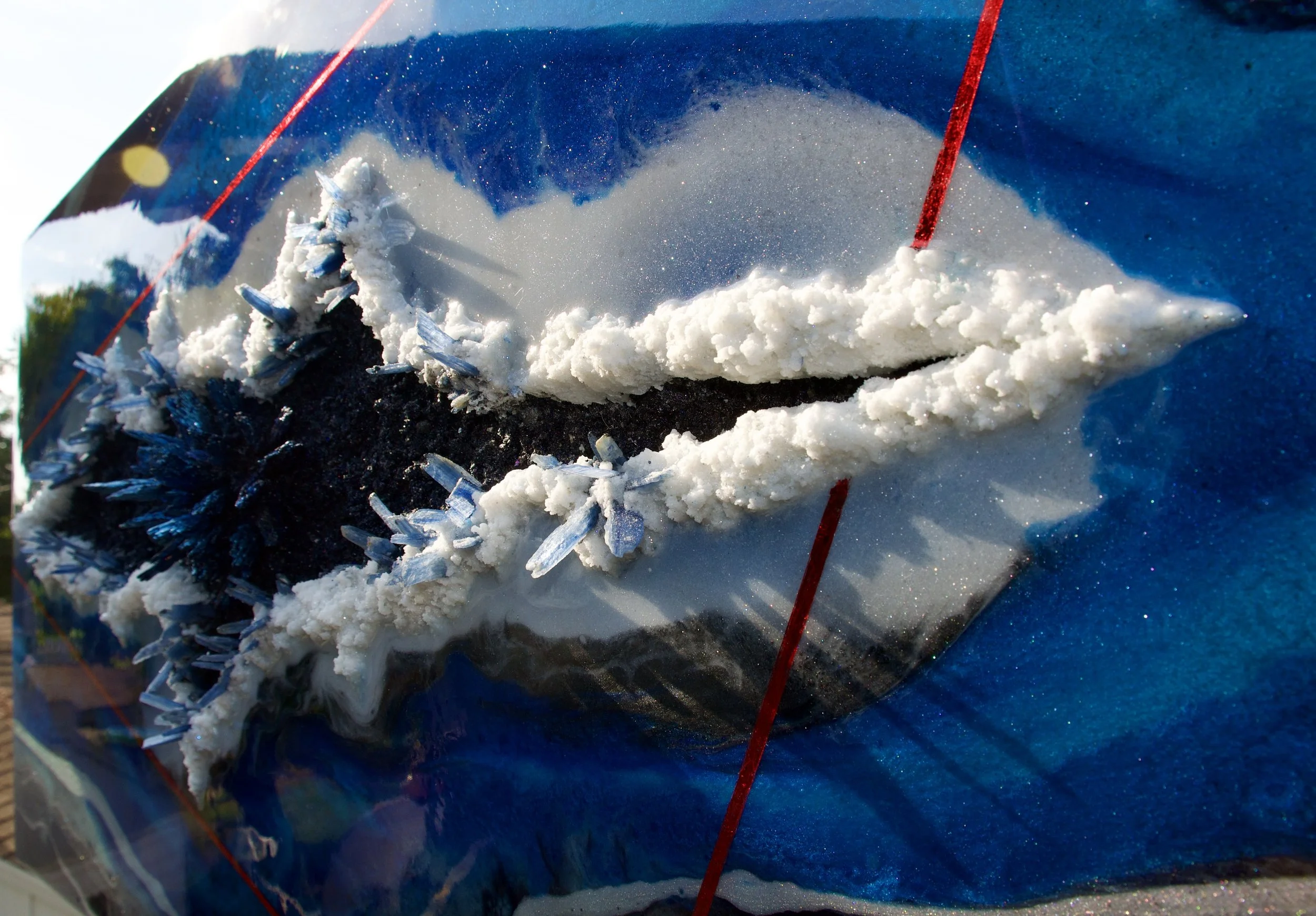 DSC_0561.jpg