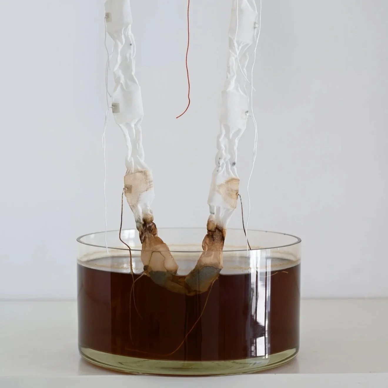 steeping time