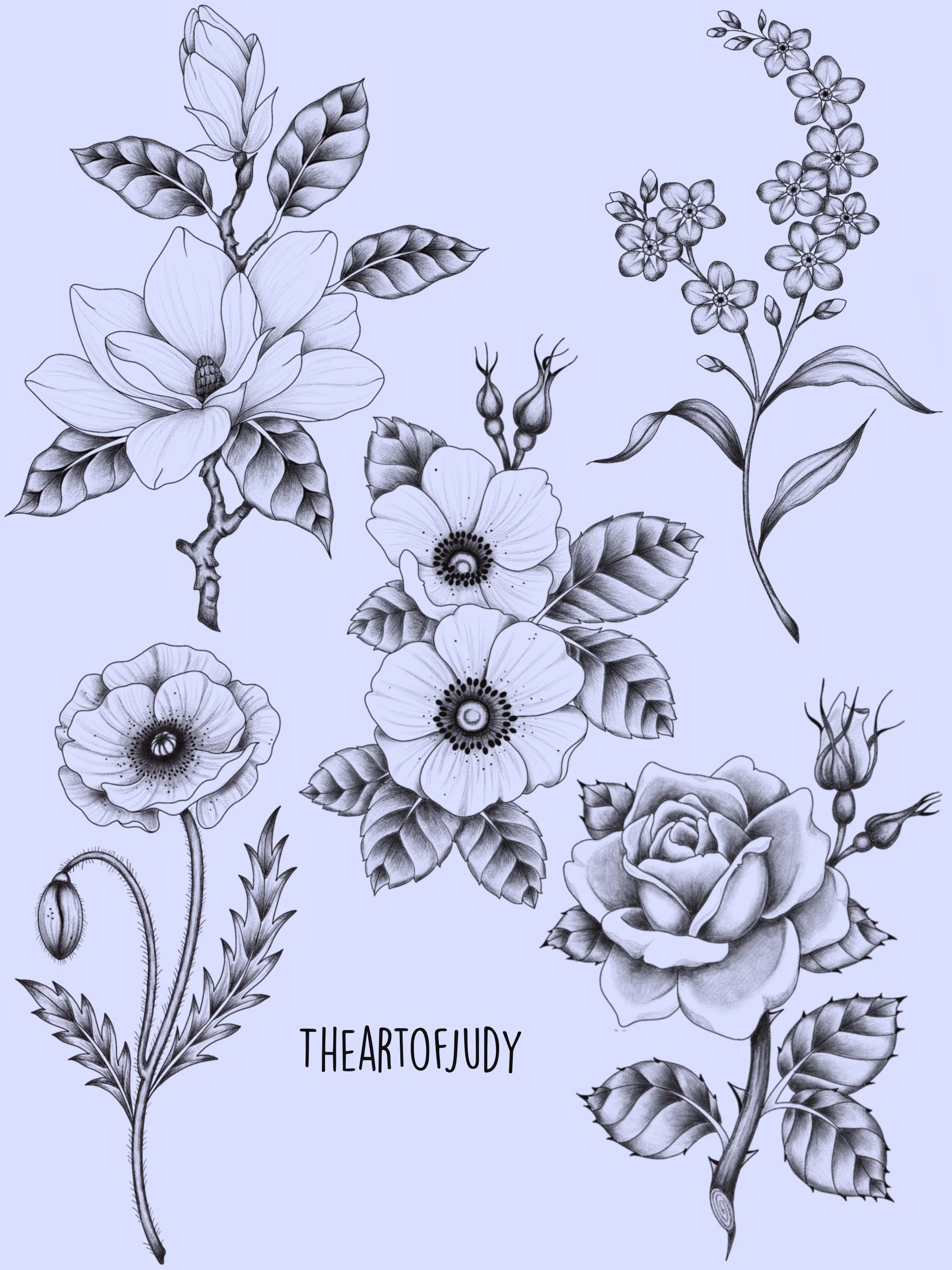 Magnolie · Rose · Mohnblume · Wildrose · Botanisches Wannado Flash Sheet · Illustratives Blackwork Tattoo · The Art of Judy · Frankfurt am Main