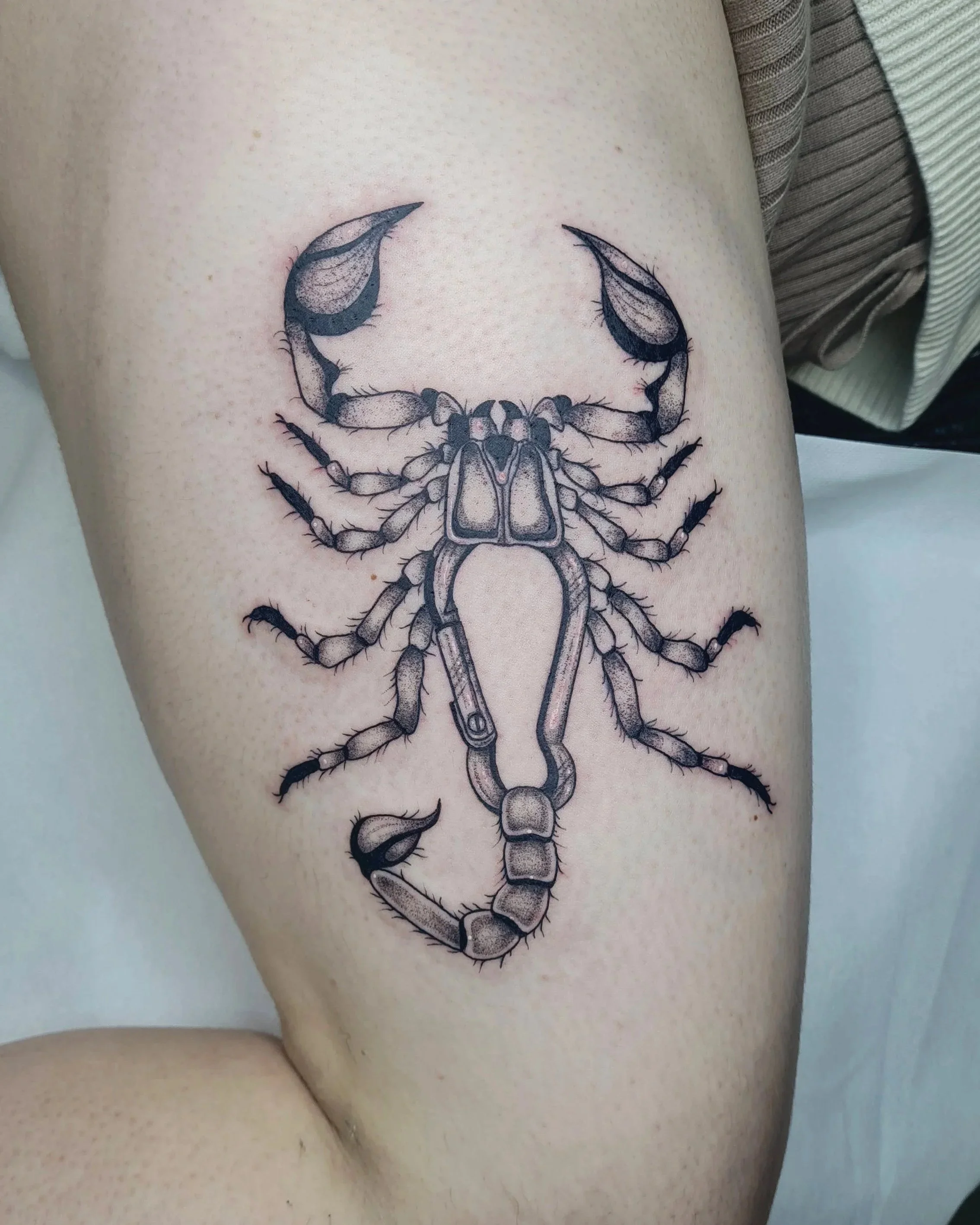 Skorpion mit Karabiner · Surreales Illustratives Blackwork Tattoo · The Art of Judy · Frankfurt am Main