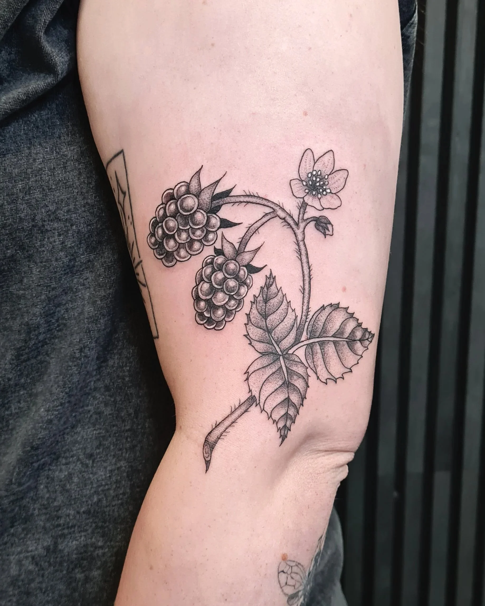 Brombeeren · Botanisches Illustratives Blackwork Tattoo · The Art of Judy · Frankfurt am Main