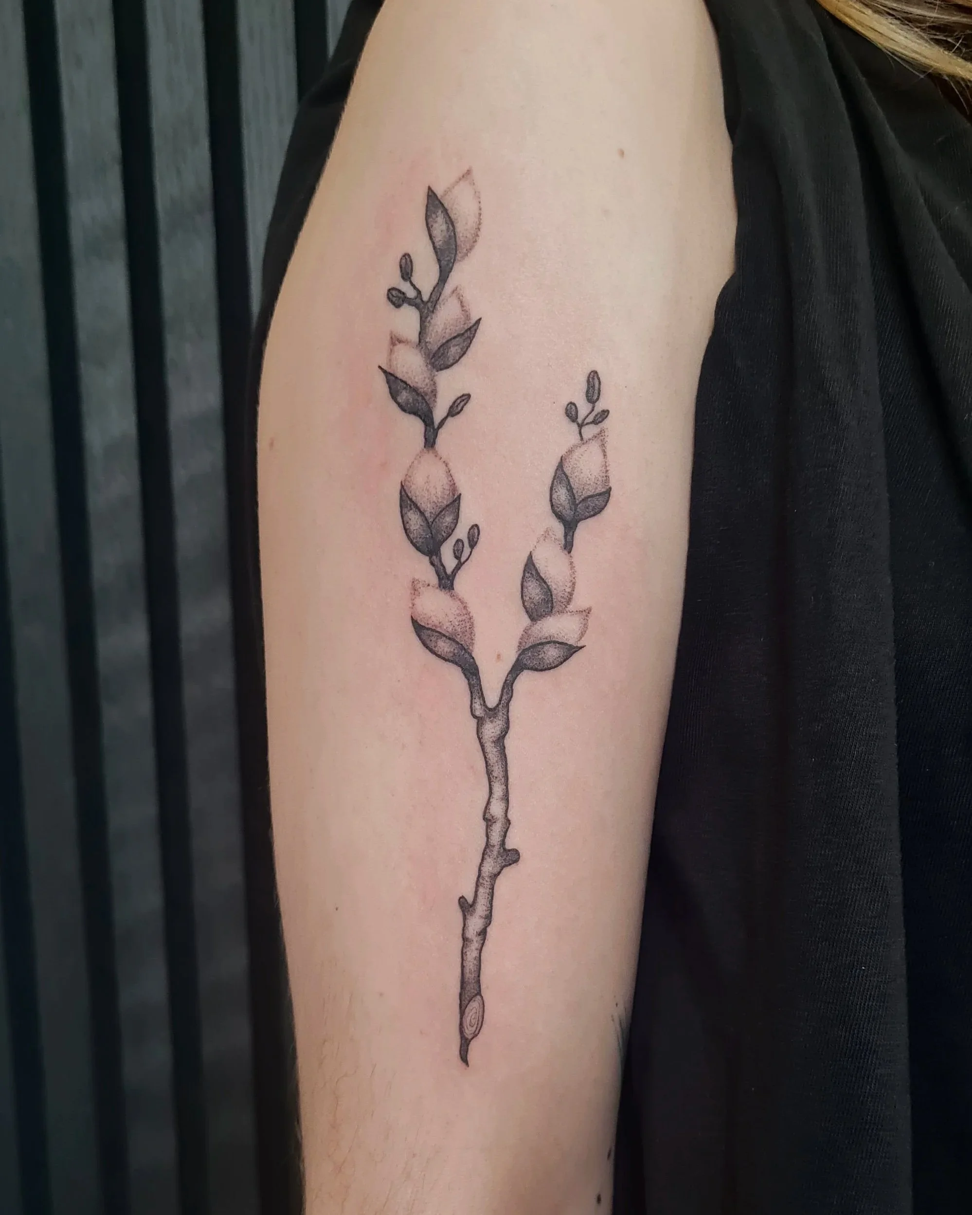 Weidenkätzchen · Botanisches Illustratives Blackwork Tattoo · The Art of Judy · Frankfurt am Main