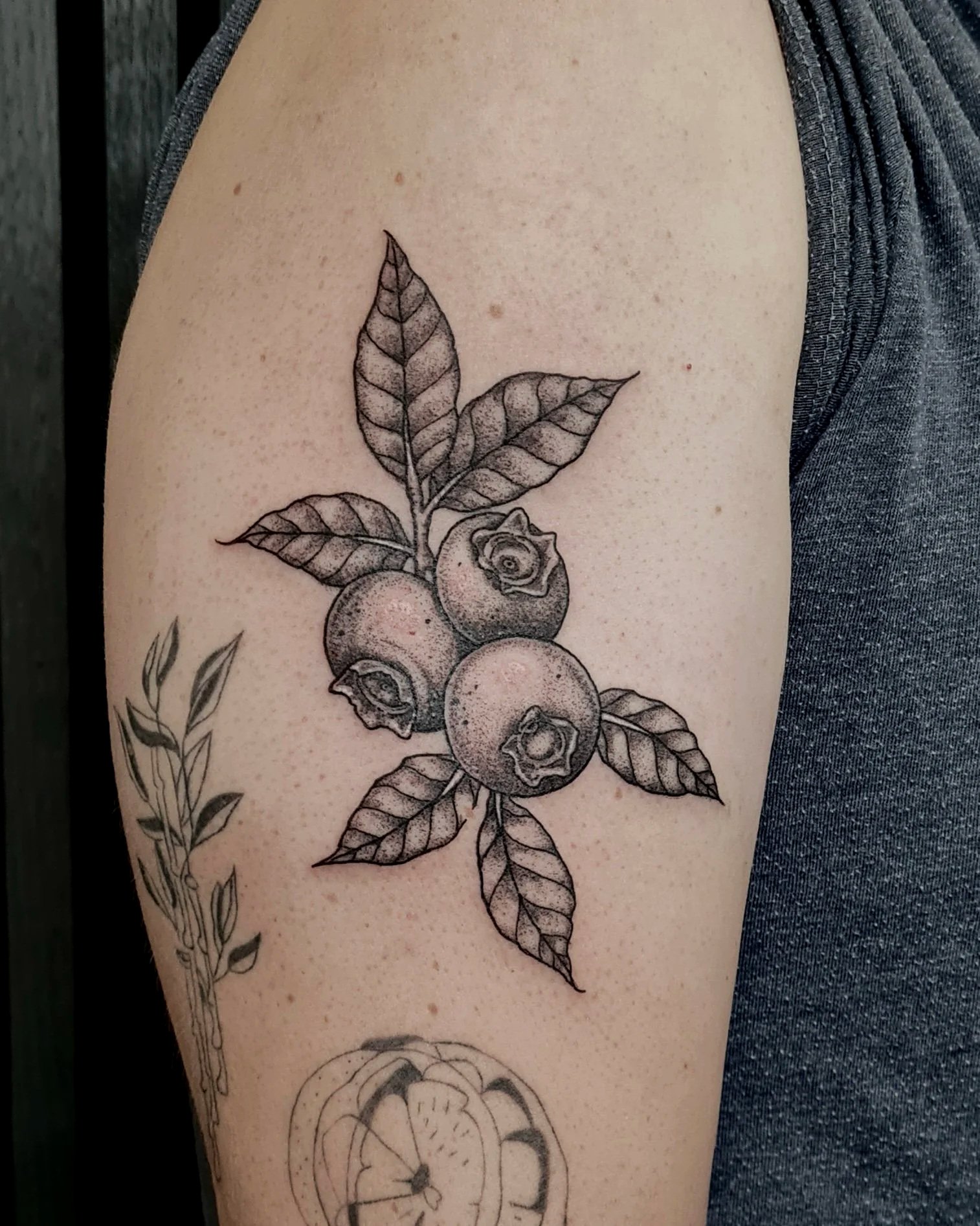 Heidelbeeren · Botanisches Illustratives Blackwork Tattoo · The Art of Judy · Frankfurt am Main
