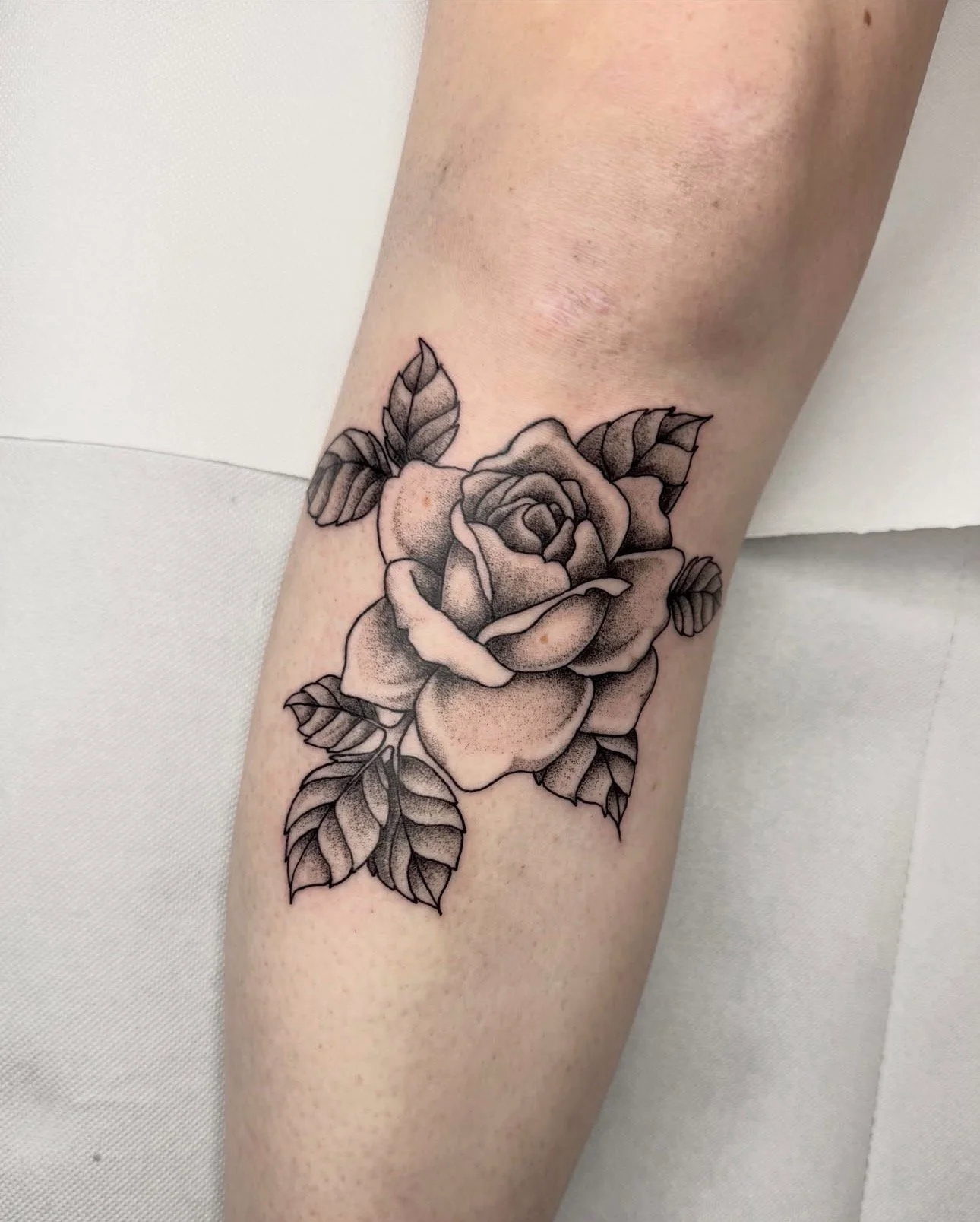 Rose · Botanisches Illustratives Blackwork Tattoo · The Art of Judy · Frankfurt am Main