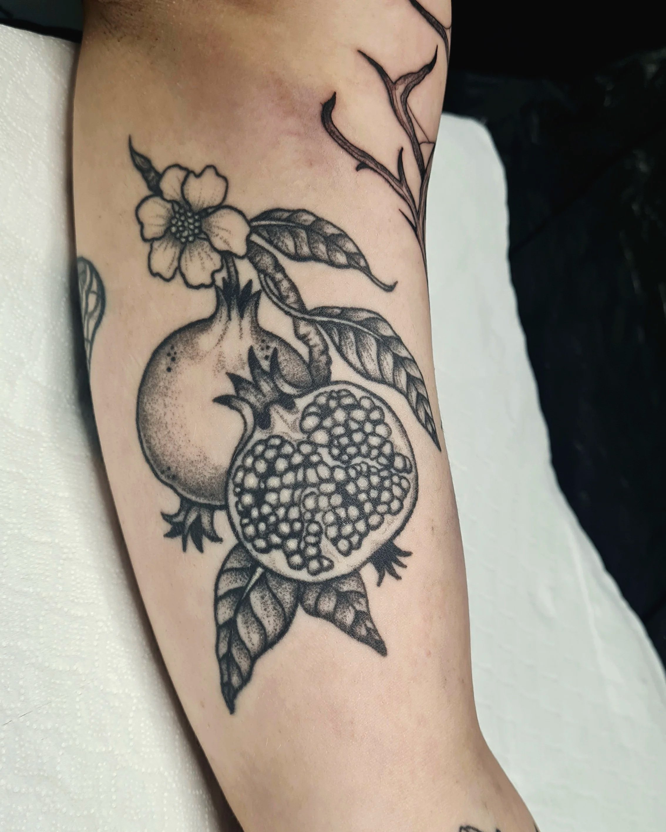 Granatapfel · Botanisch · Verheiltes Illustratives Blackwork Tattoo · Healed Work · The Art of Judy · Frankfurt am Main