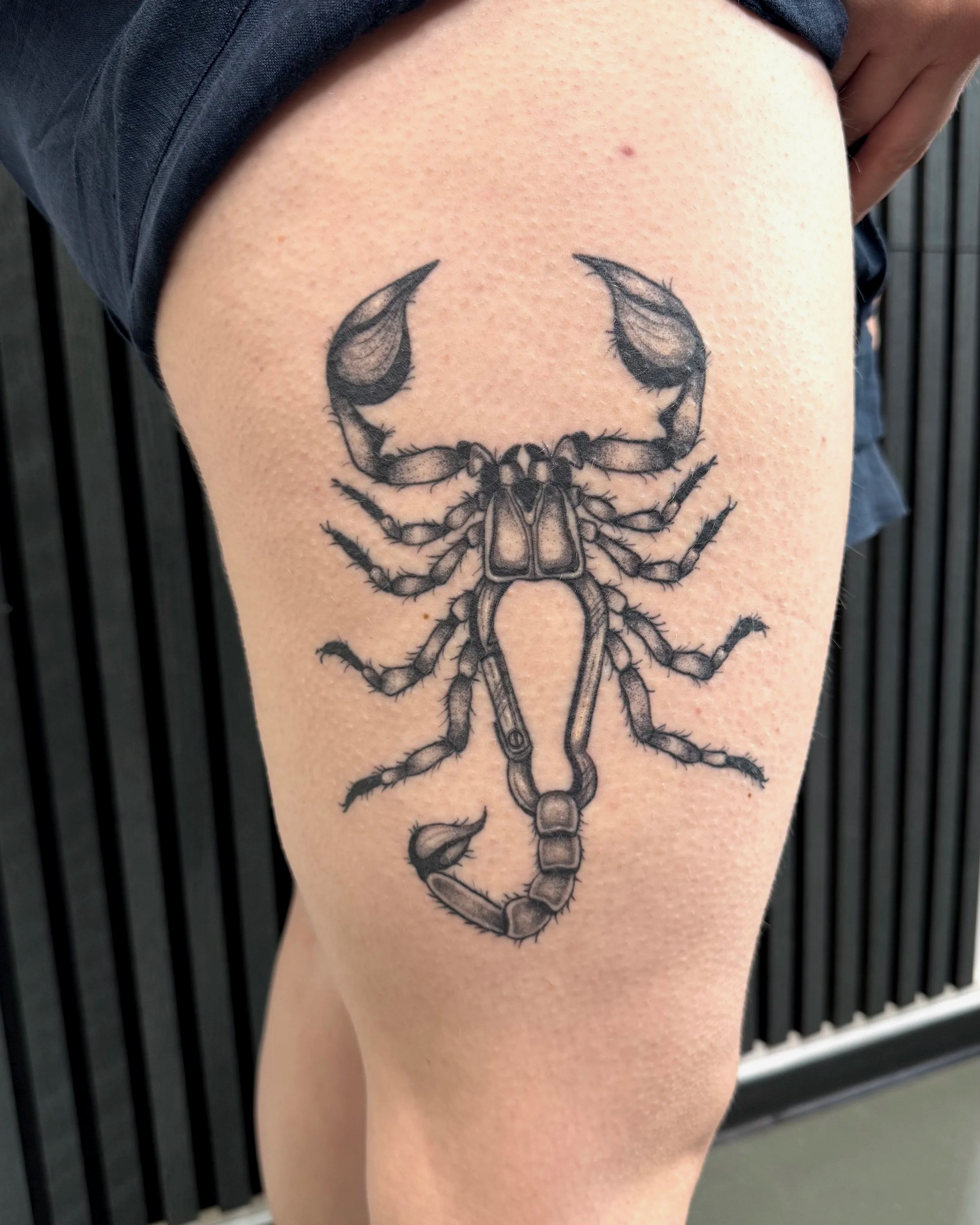 Skorpion mit Karabinerhaken · Surreal · Verheiltes Illustratives Blackwork Tattoo · Healed Work · The Art of Judy · Frankfurt am Main
