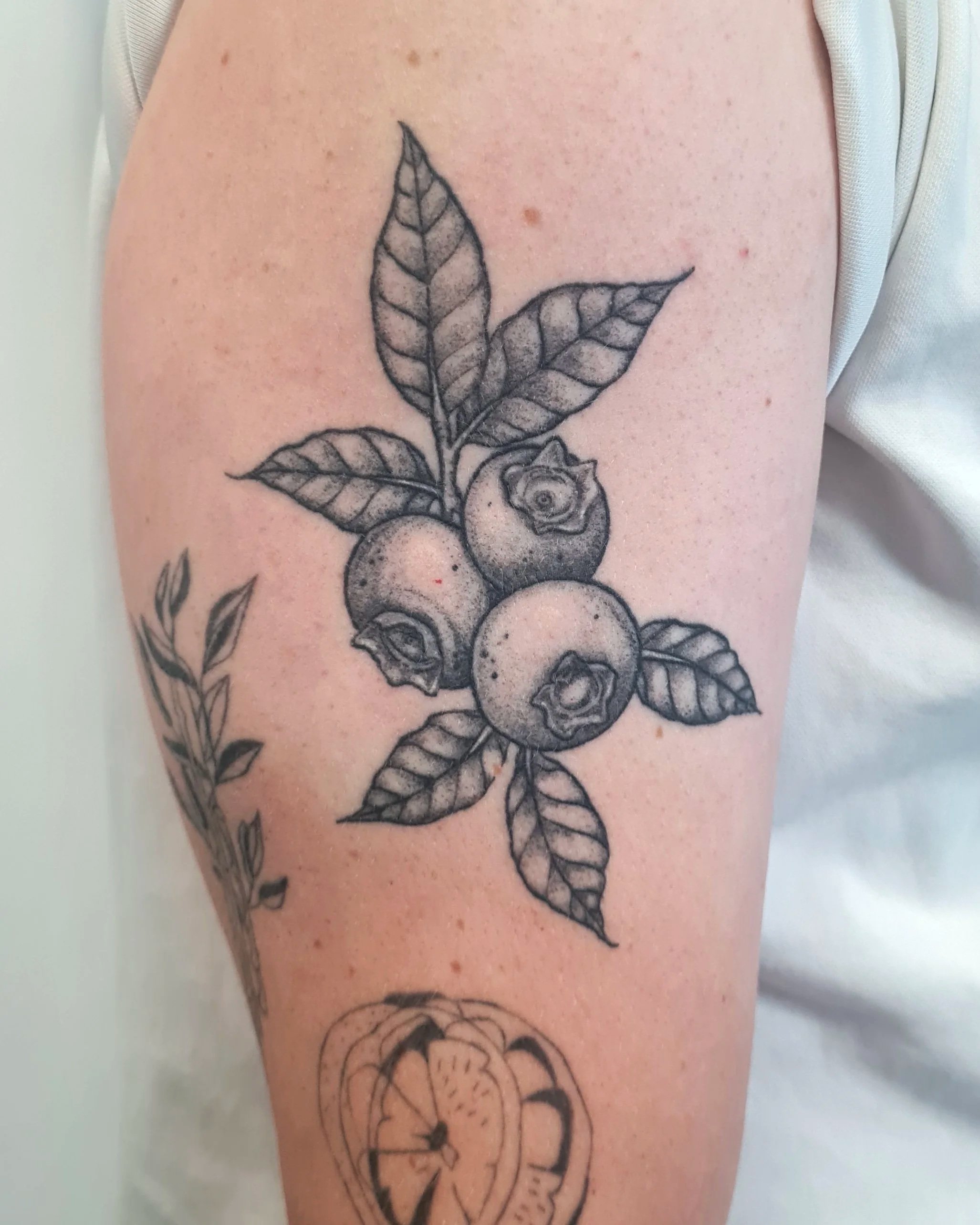 Heidelbeeren · Botanisch · Verheiltes Illustratives Blackwork Tattoo · Healed Work · The Art of Judy · Frankfurt am Main