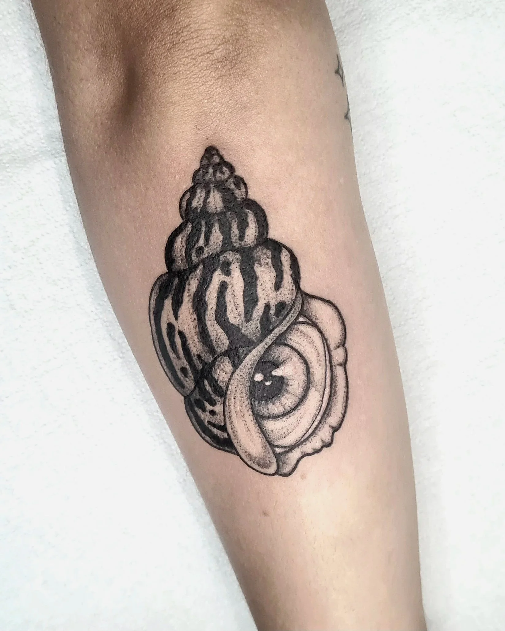 Augmuschel · Muschel mit Auge Tattoo · Illustratives Blackwork Signature Piece · Surreal · The Art of Judy · Frankfurt am Main