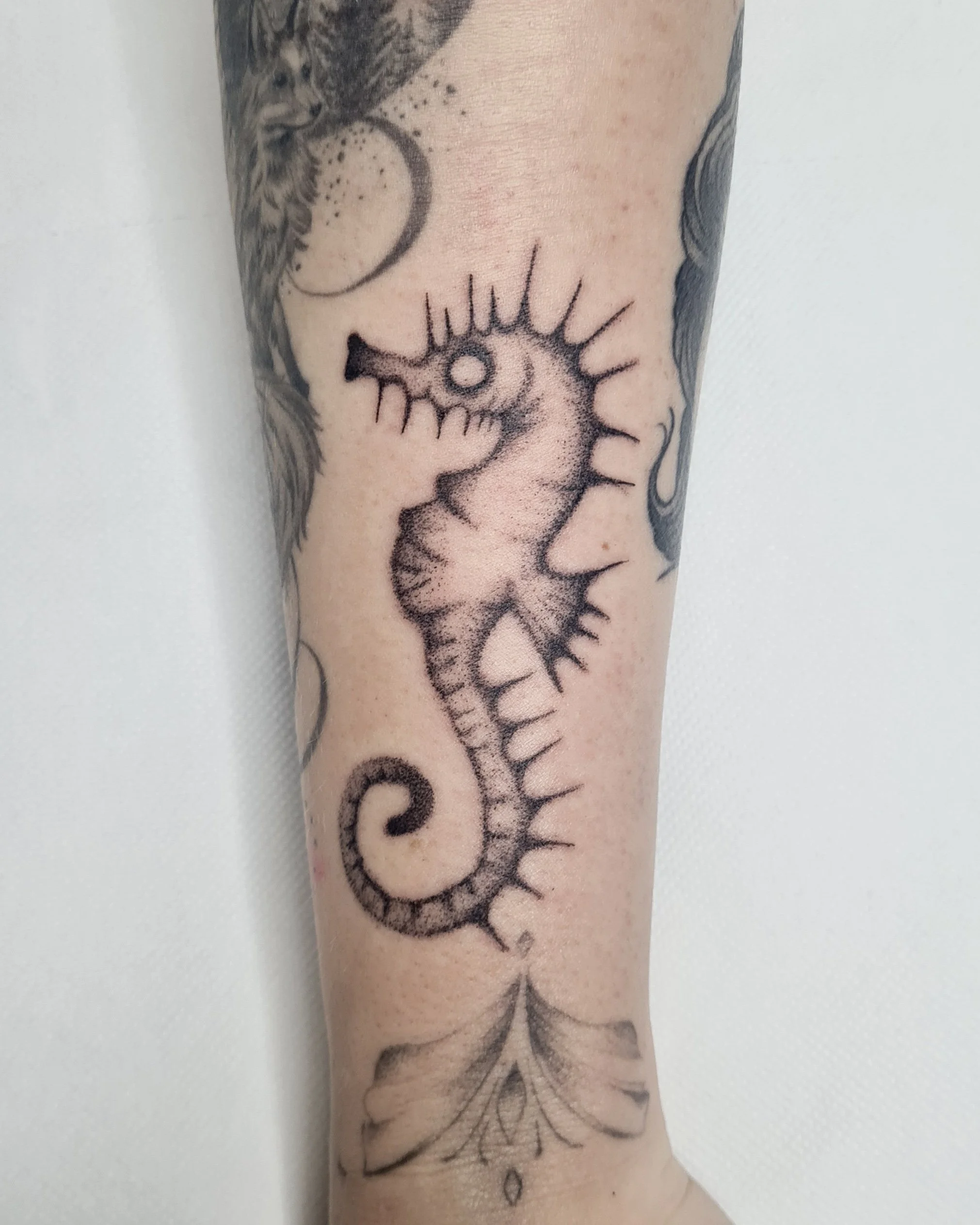 Seepferdchen · Stripped Illustratives Blackwork Tattoo · The Art of Judy · Frankfurt am Main