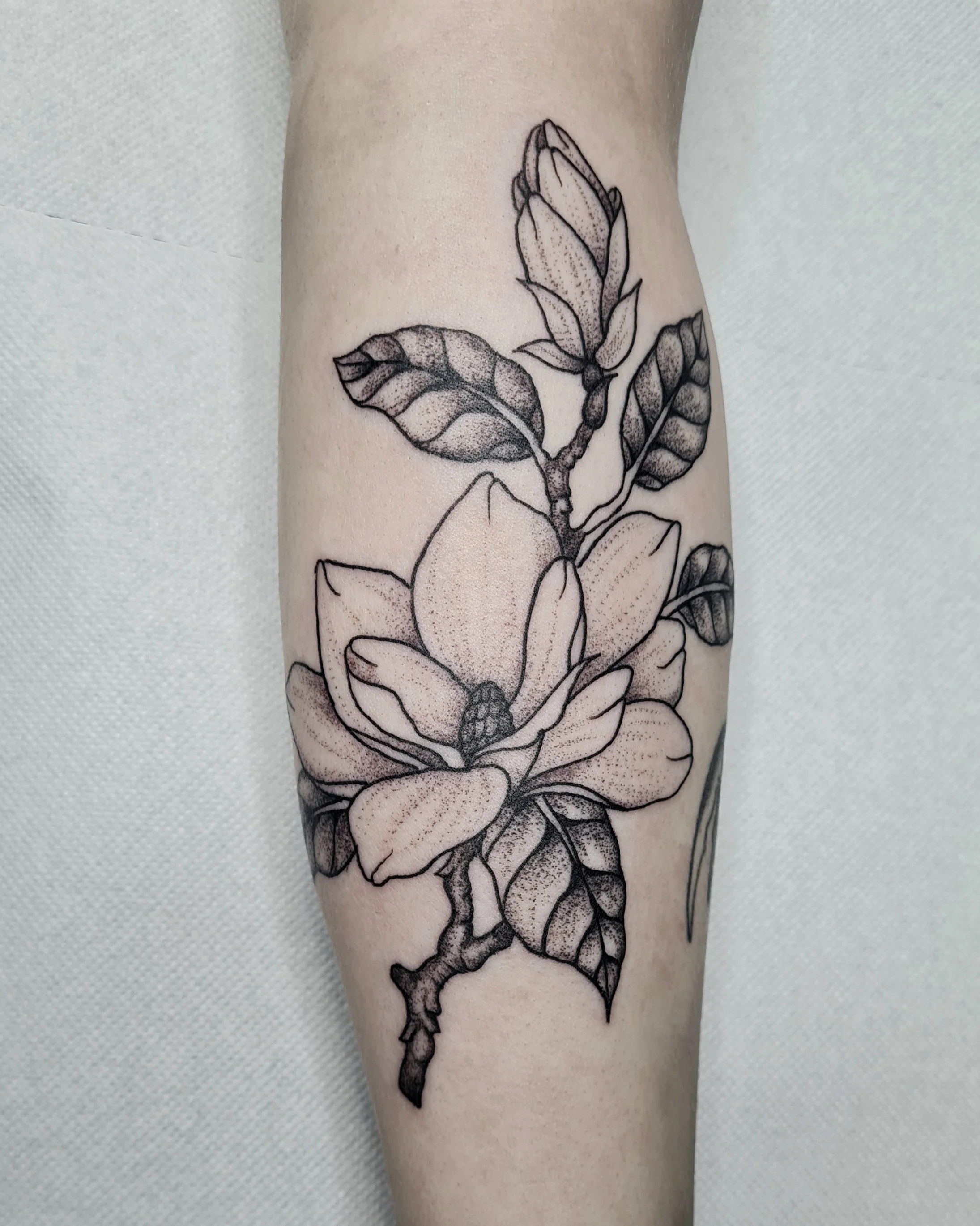 Magnolie · Botanisches Illustratives Blackwork Tattoo · The Art of Judy · Frankfurt am Main