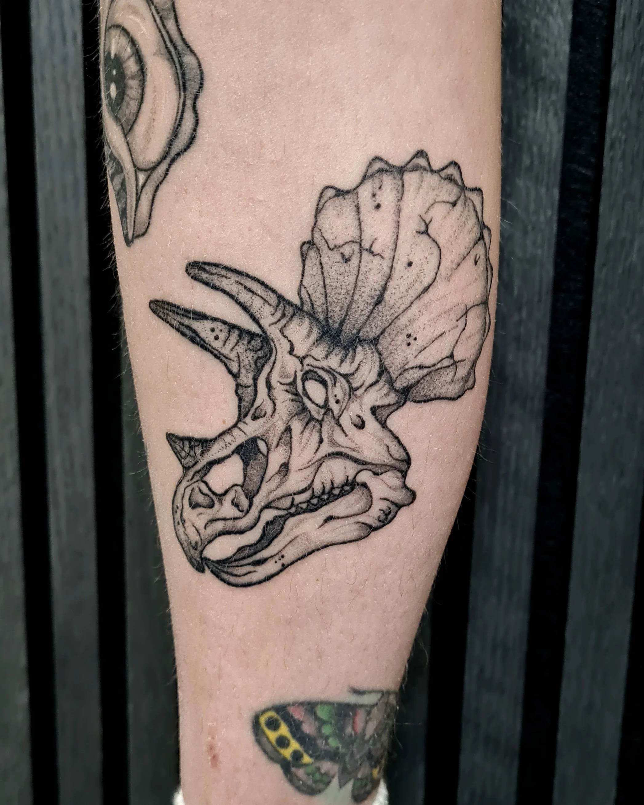 Triceratops Schädel, Skelett · Dark · Verheiltes Illustratives Blackwork Tattoo · Healed Work · The Art of Judy · Frankfurt am Main