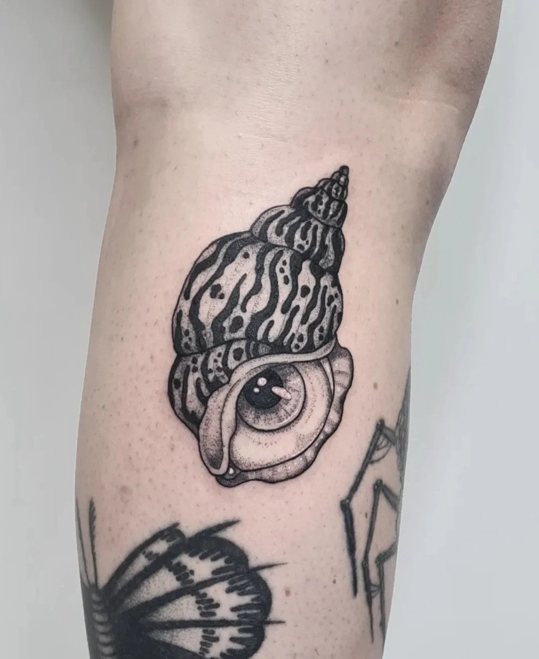 Augmuschel · Muschel mit Auge Zebramuster · Illustratives Blackwork Tattoo · Signature Piece · The Art of Judy · Frankfurt am Main