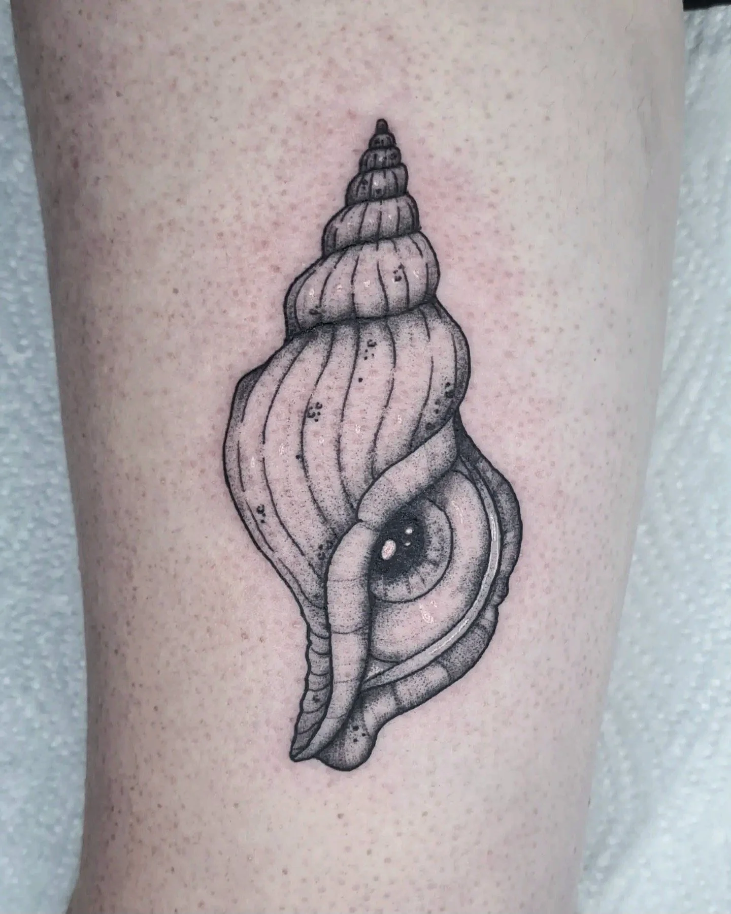 Augmuschel · Muschel mit Auge · Illustratives Blackwork Tattoo · Signature Piece · The Art of Judy · Frankfurt am Main